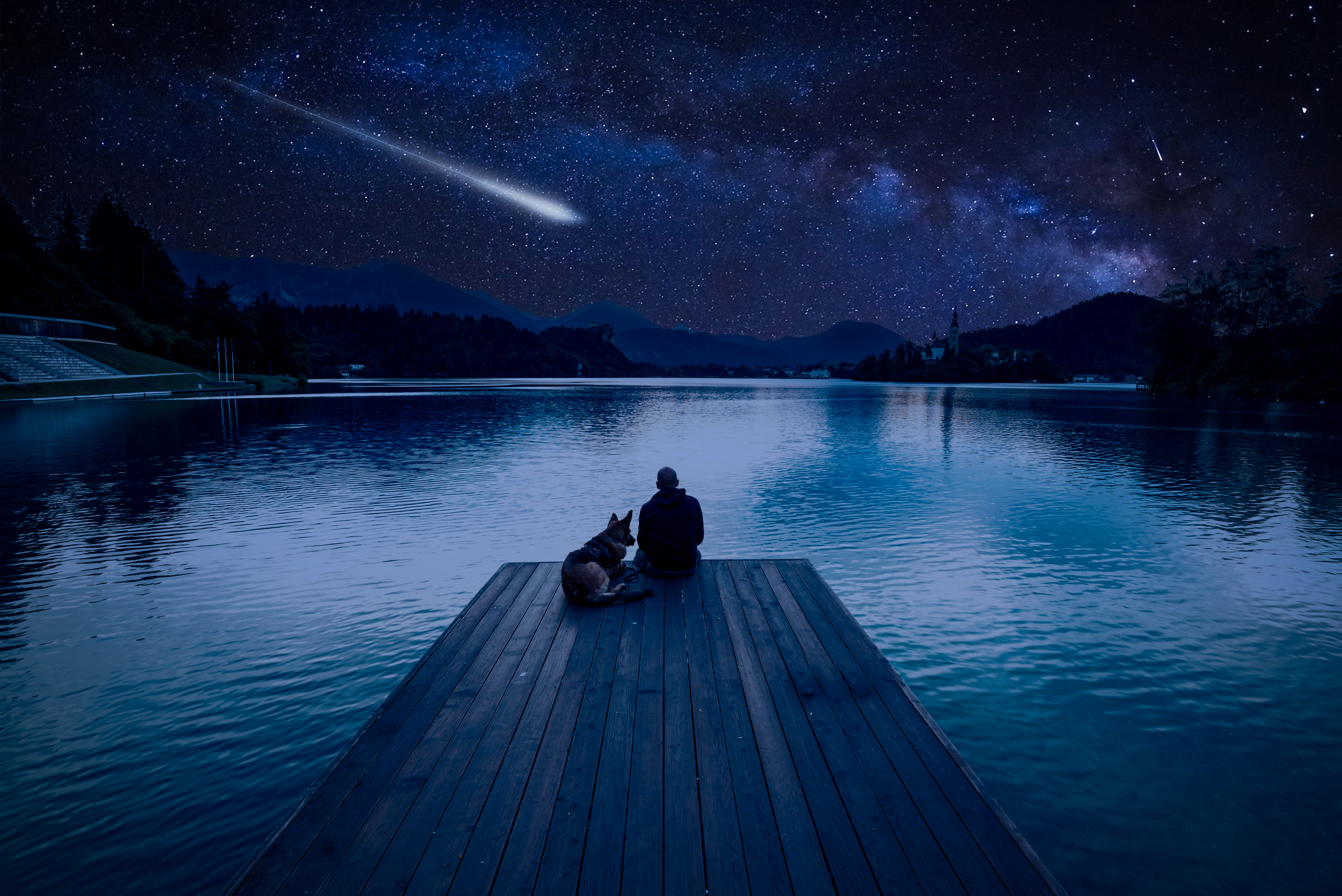 Man with dog looking at Perseids Meteor Shower at lake Bled