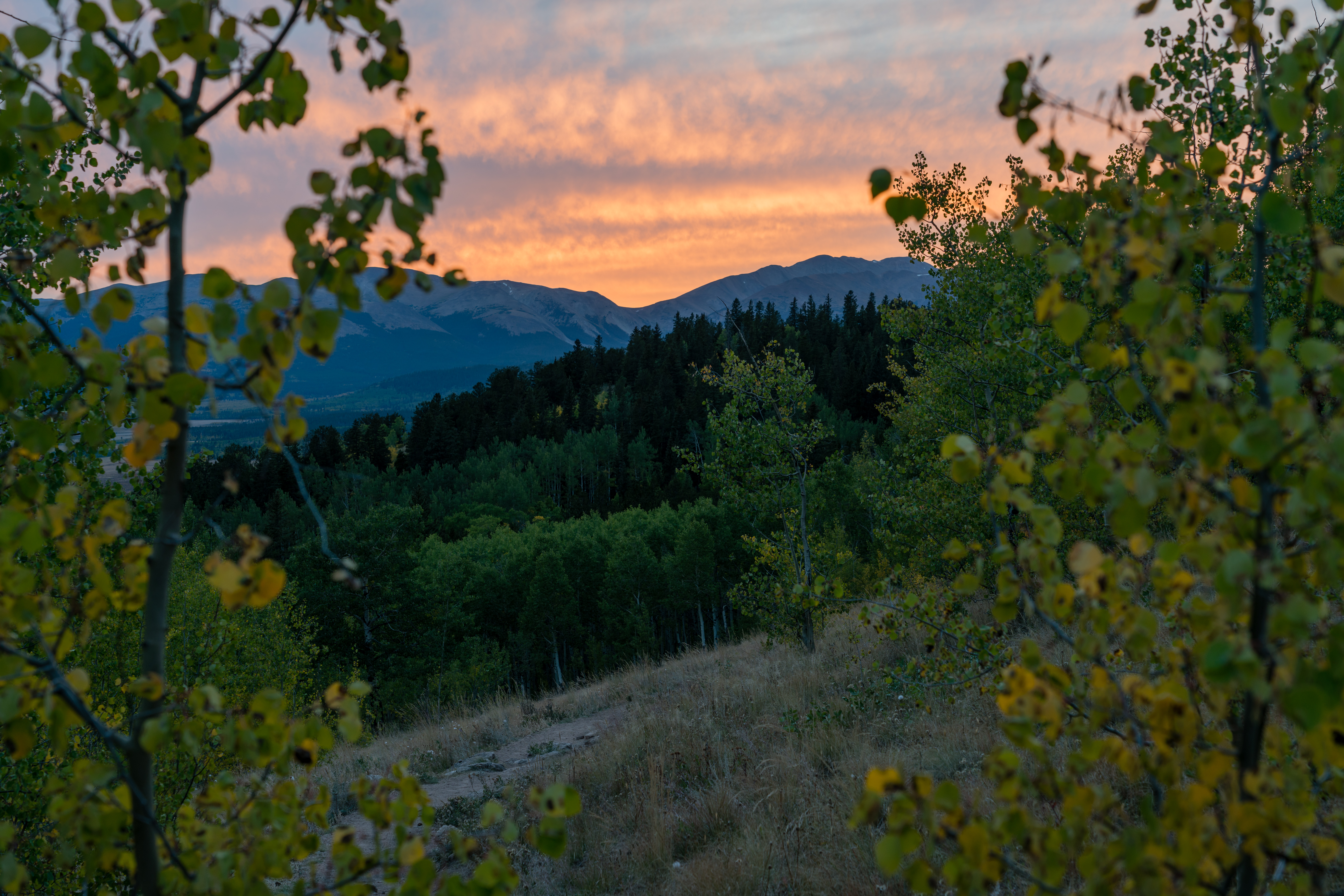 From along the Colorado Trail, just west of Kenosha Pass. Colorado campsites