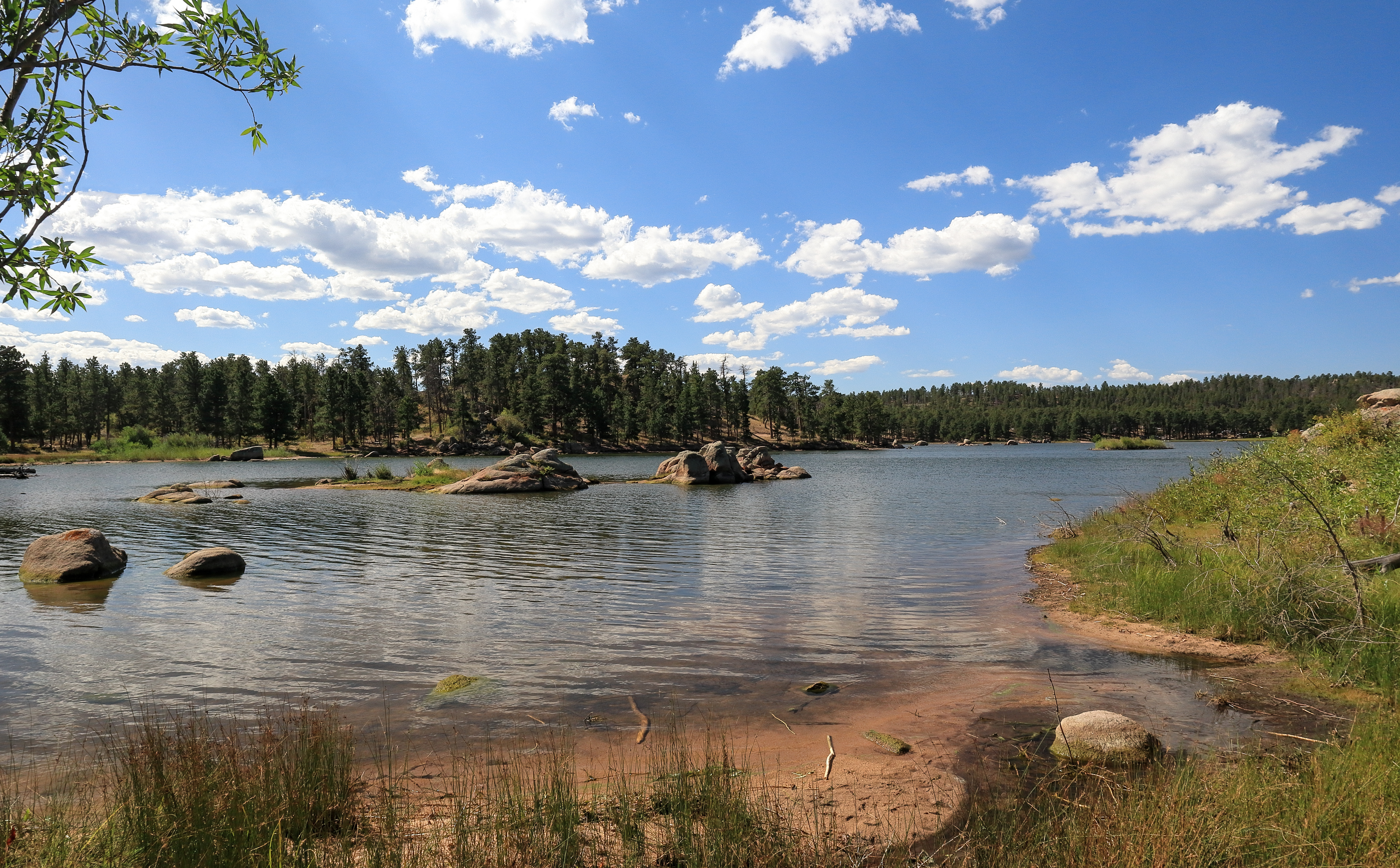 Beautiful Dowdy lake, part of Red Feather lakes recreation area near Fort Collins, Colorado, on a bright sunny day. Colorado campsites