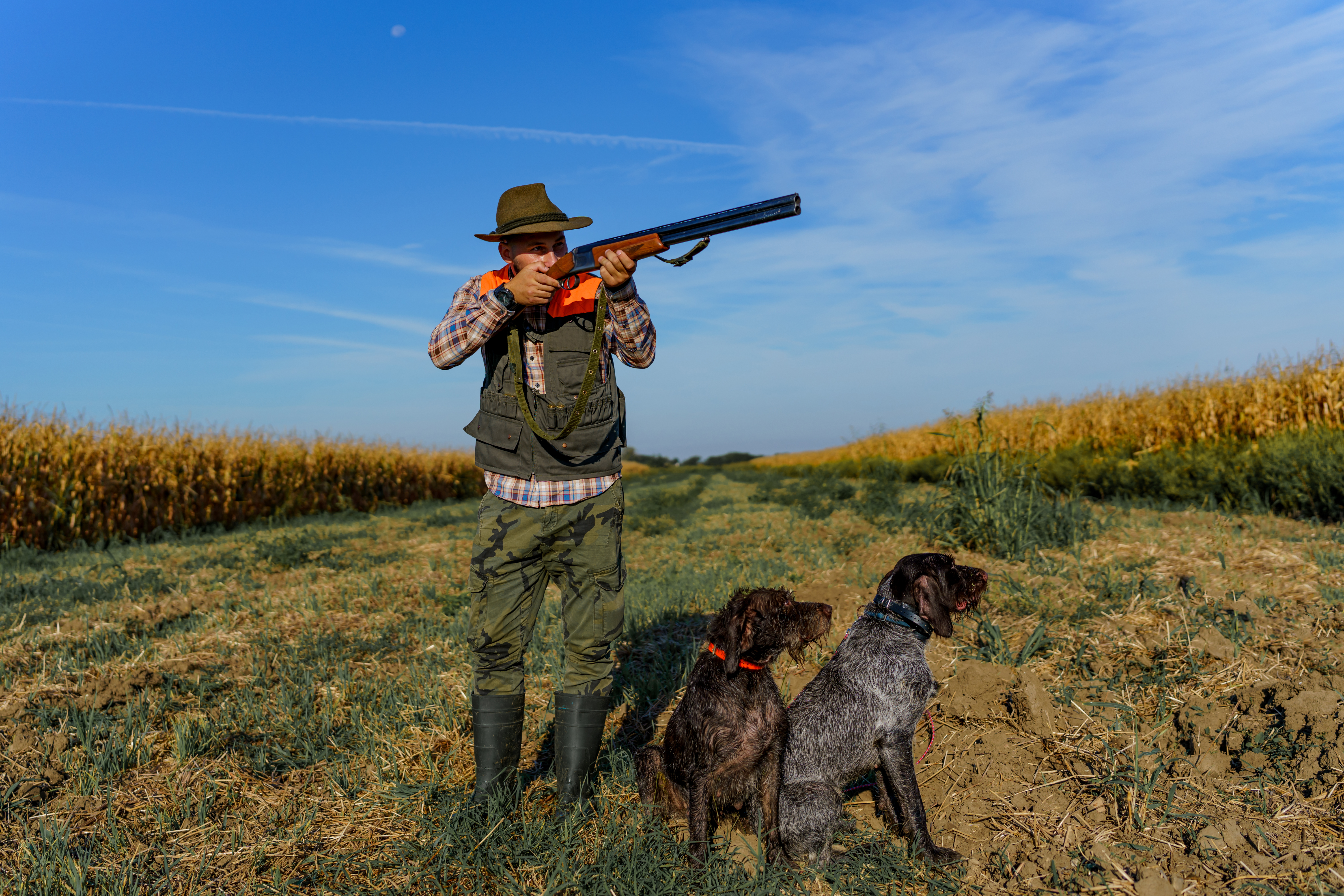 best hunting dog breeds