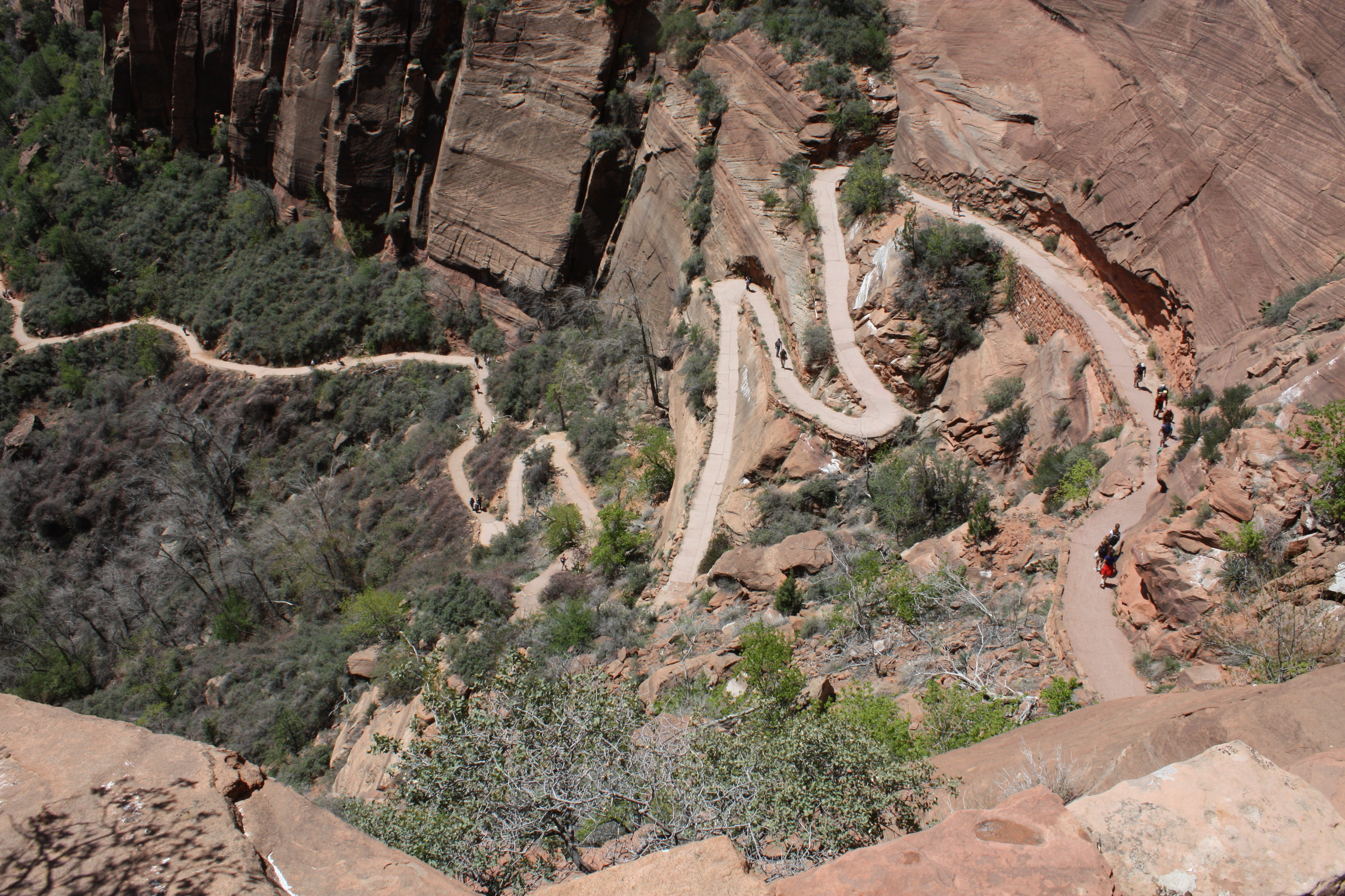 Looking down on Angel's Landing hiking trail in Zion National Park, Utah. 