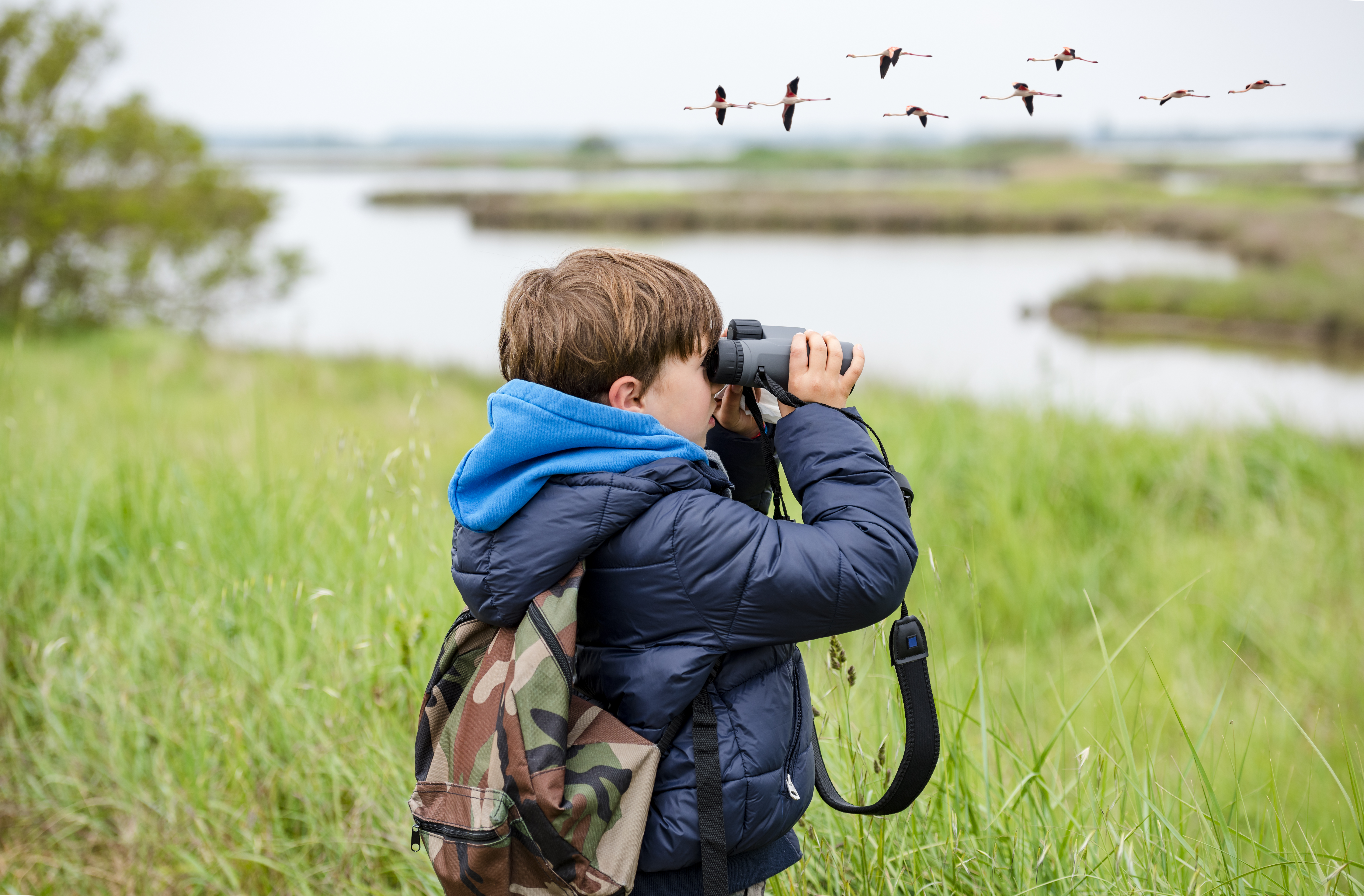 kid bird watching flamingos through binoculars