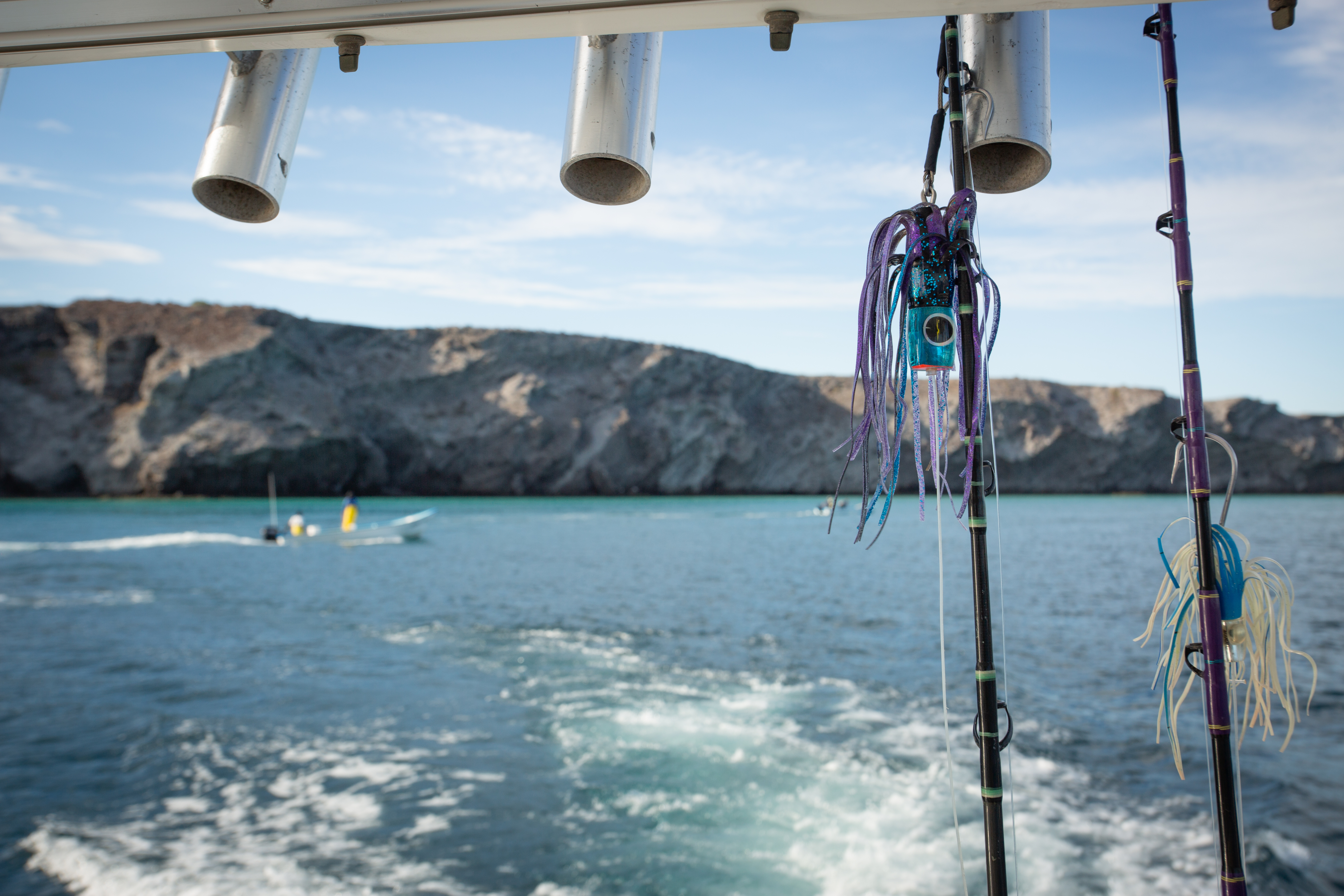 Fishing in Baja for Mahi Mahi