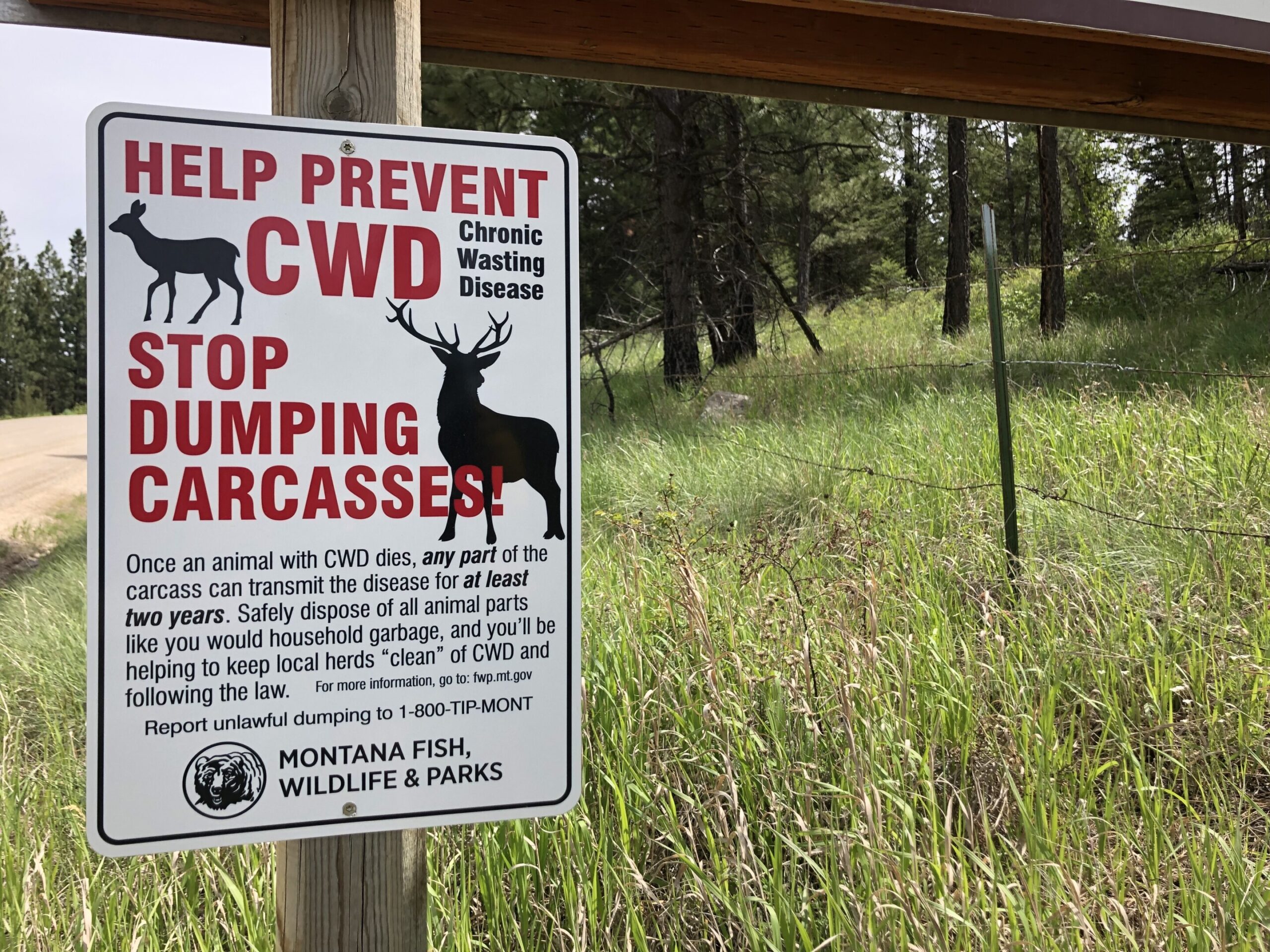 chronic wasting disease deer sign
