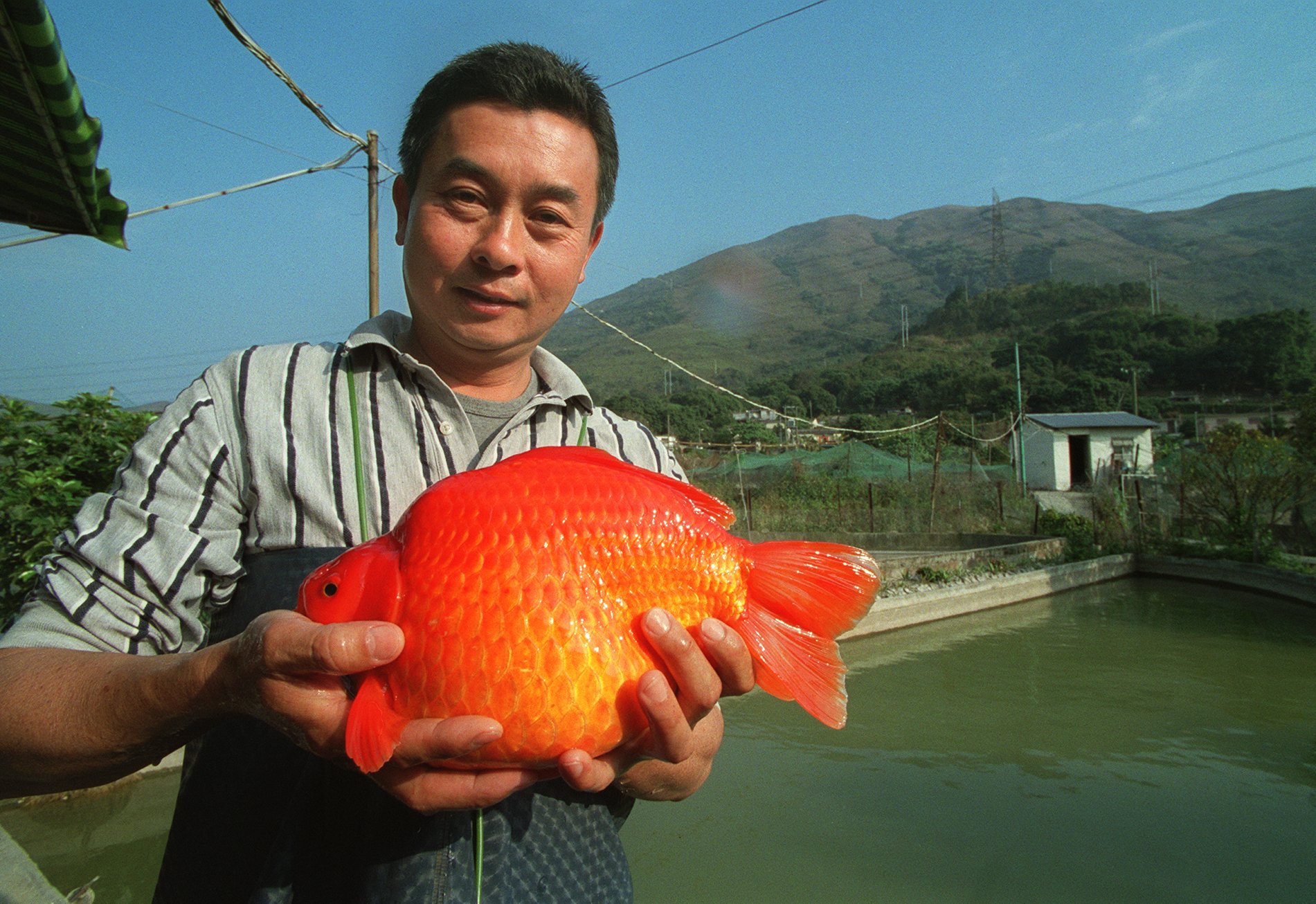 Getty Images, South China Morning Post 