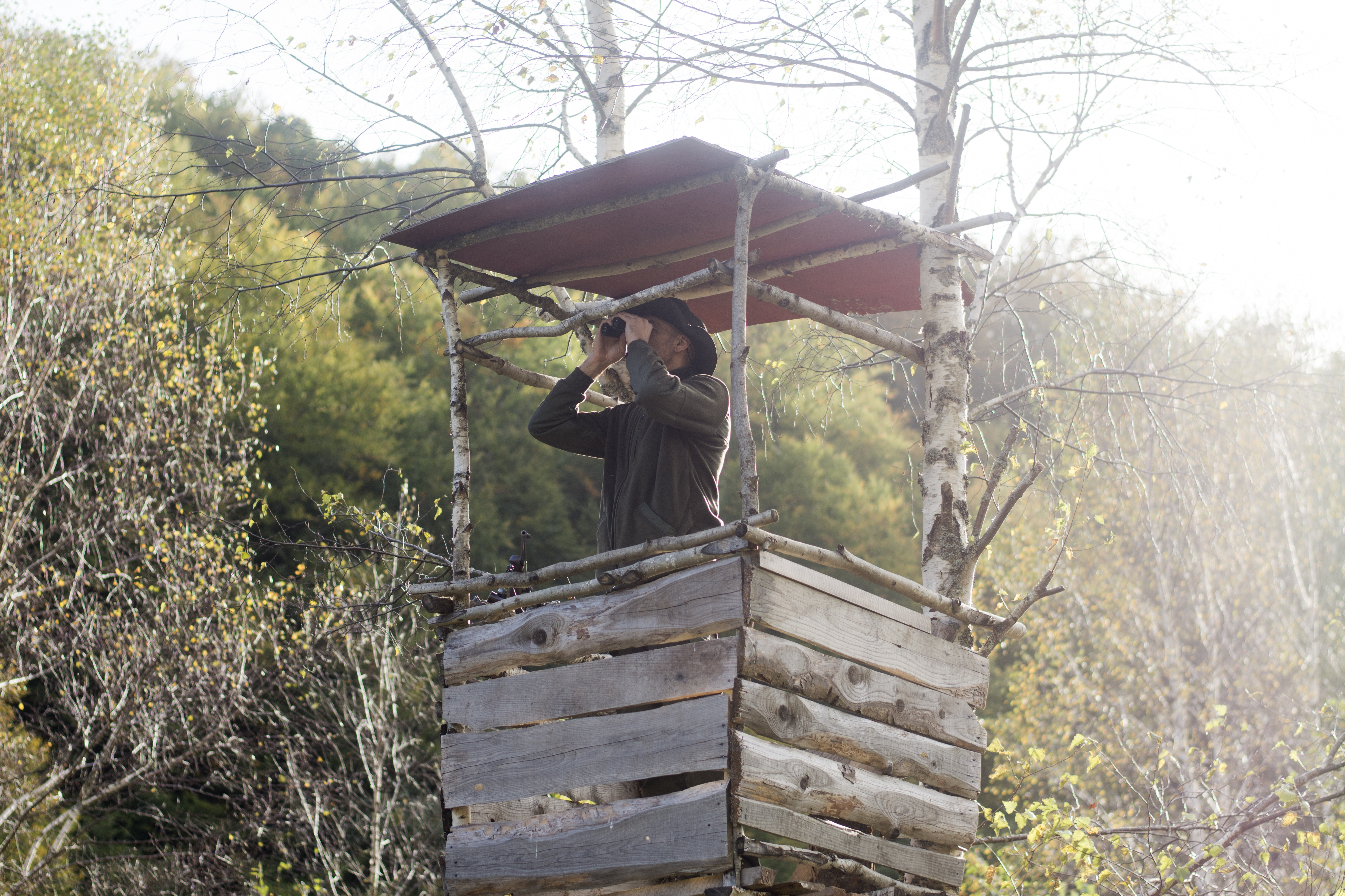 Portrait of hunter with rifle and binoculars in the forest