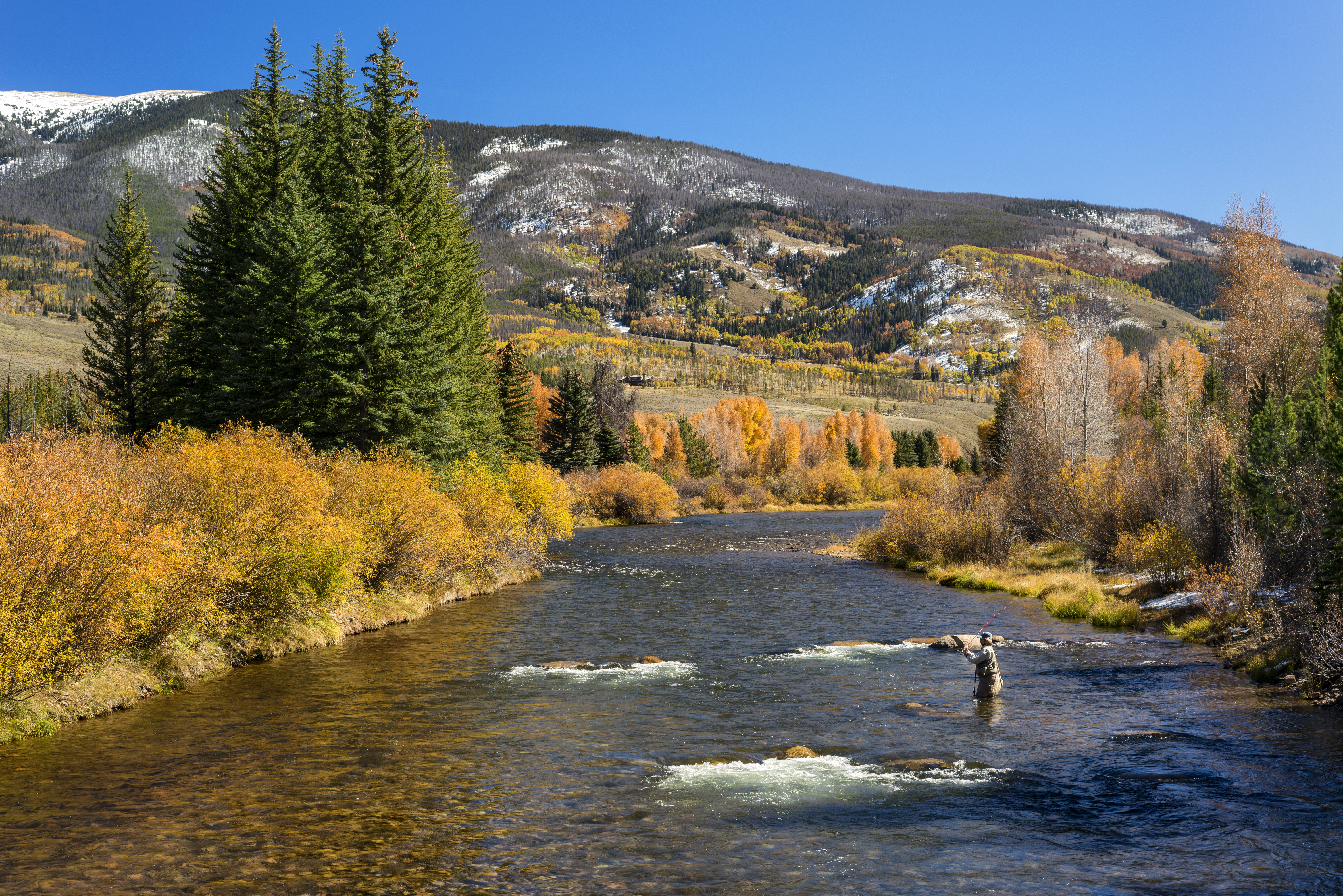 A woman fly-fishing in the Blue River, north of Silverthorne, Summit County, Colorado. Image captured in the early fall after a light snowfall.