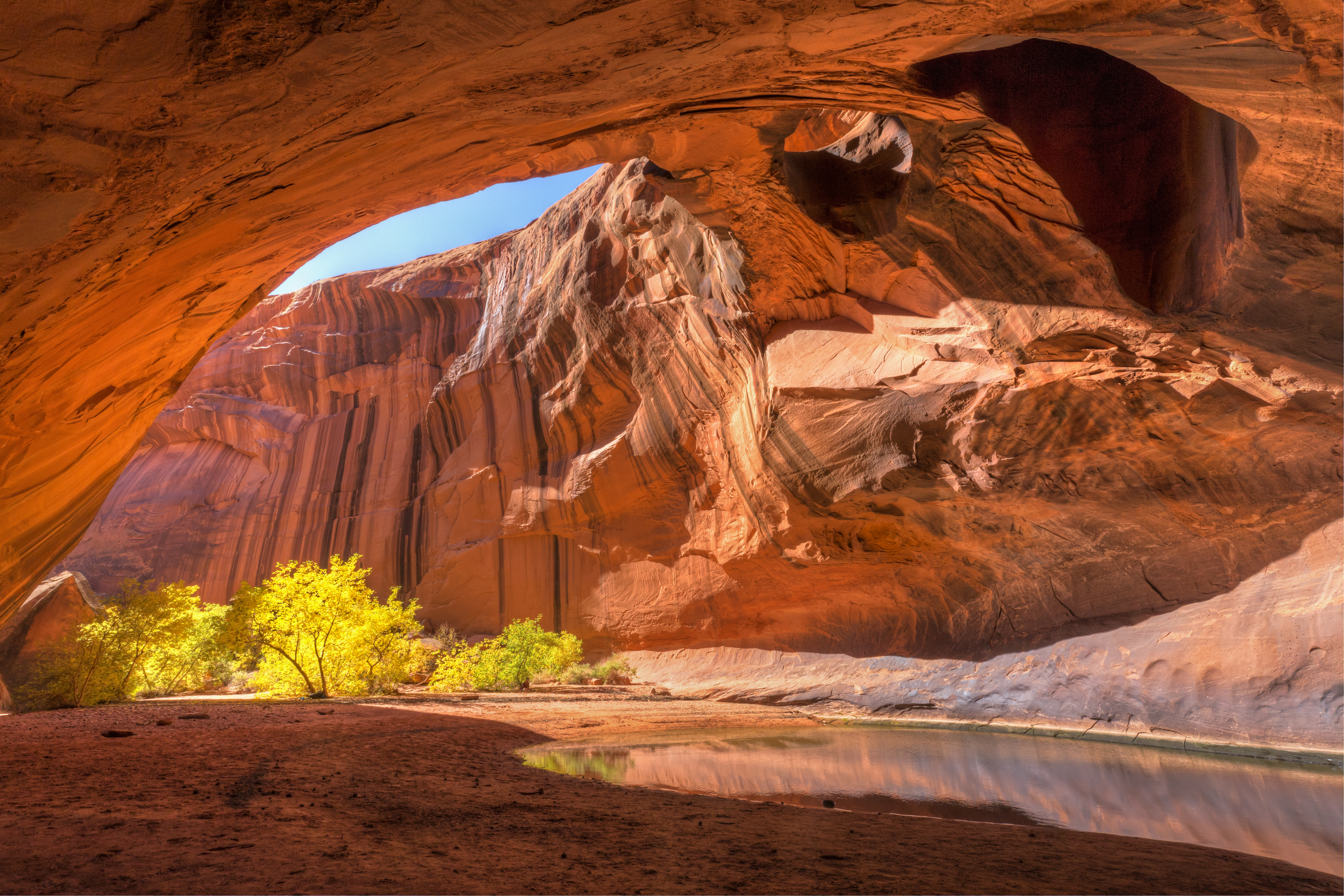 The red sandstone domed ceiling of Golden Cathedral in Neon Canyon has two arch potholes, with Yellow Cottonwood trees in Autumn, in Grand Staircase Escalante National Monument, Utah.