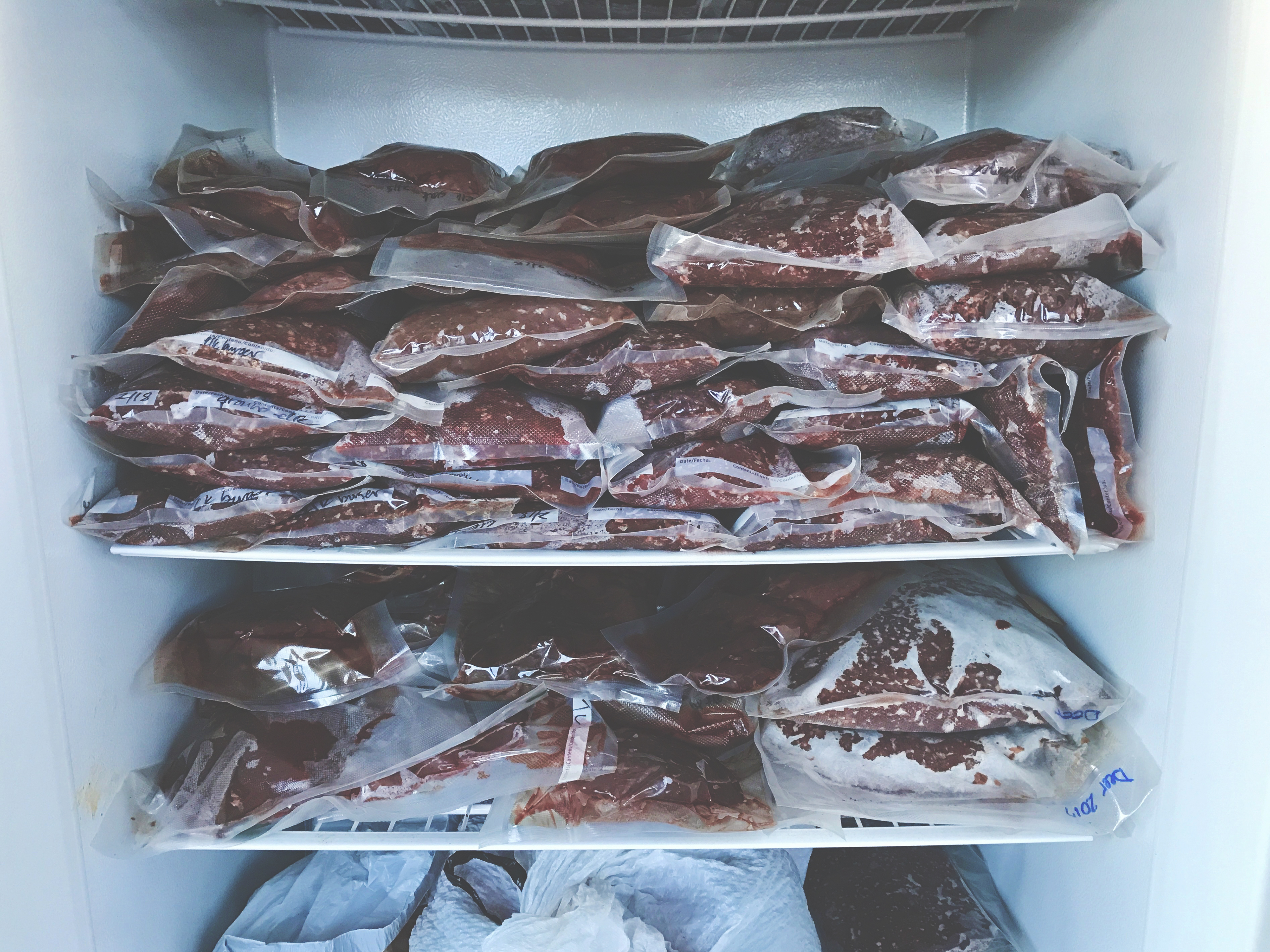 venison deer meat in the freezer