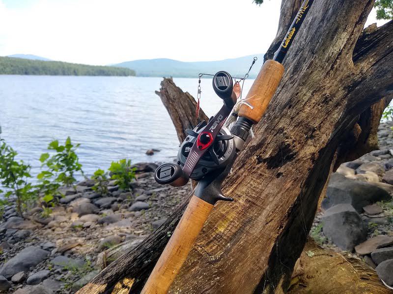 The Revo Reel leaned against a tree in front of a body of water