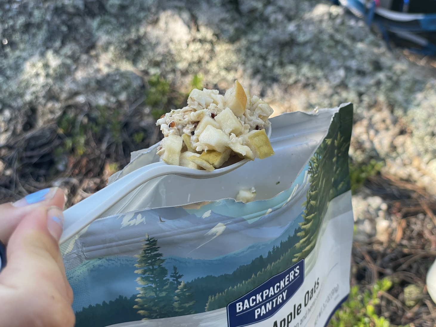 An open pouch of Backpacker's Pantry Apple Oats 