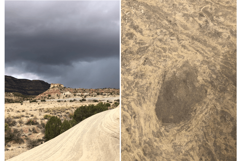 Twenty Mile Wash with Dinosaur Tracks