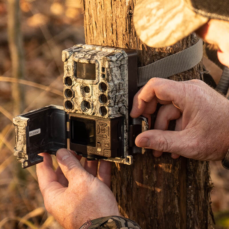 Person attaching a camouflage trail camera to a tree 