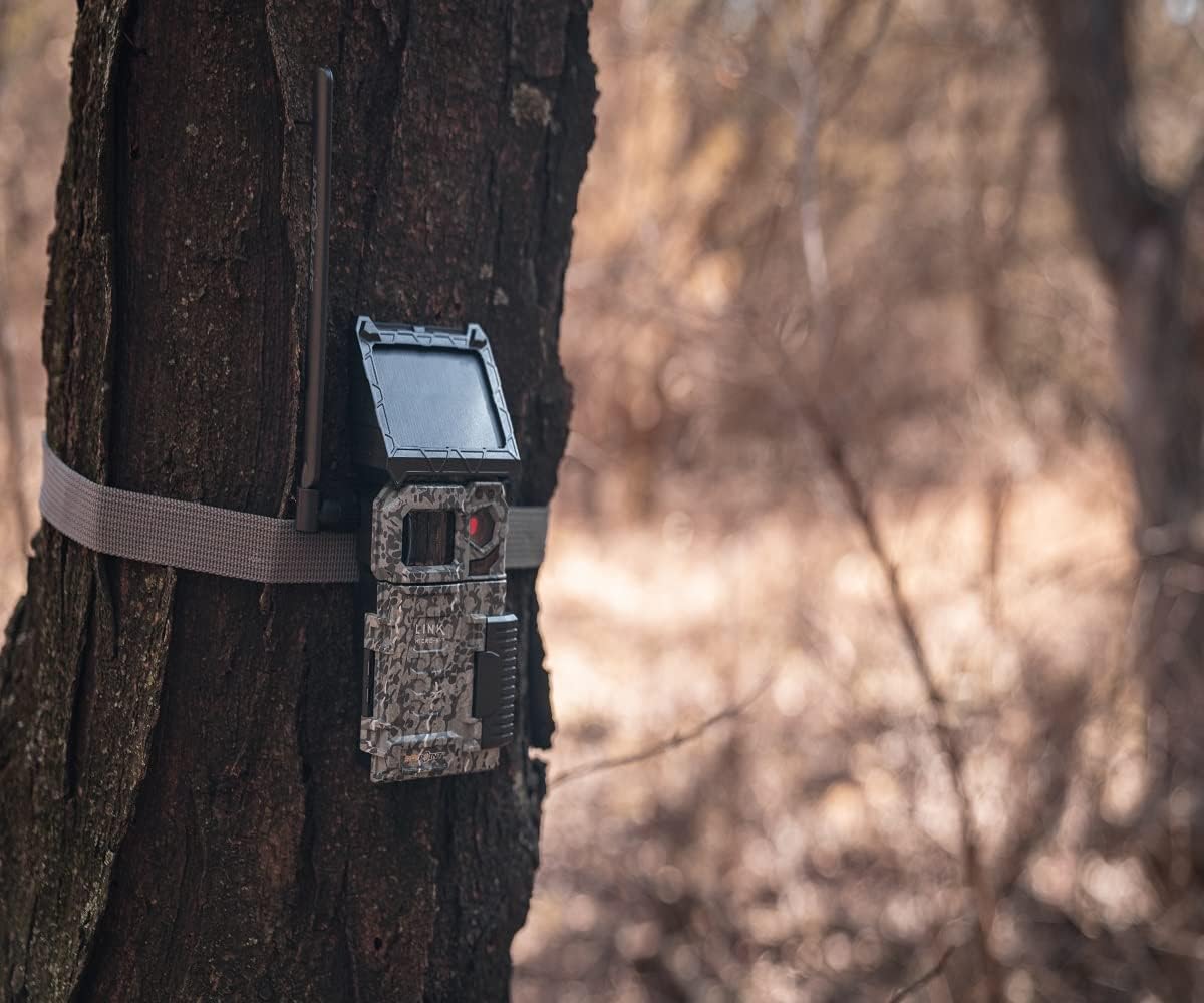 A trail cam attached to a tree