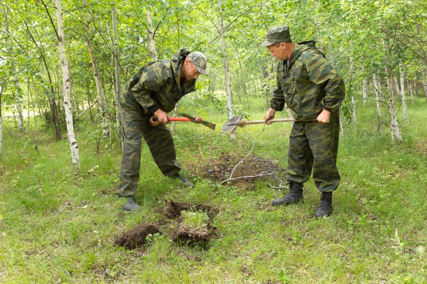 Forest firefighters conduct exercises to prevent a fire in the forest. Firemen put out fire in the forest. Firefighters close the ground where the fire in the forest was burning.