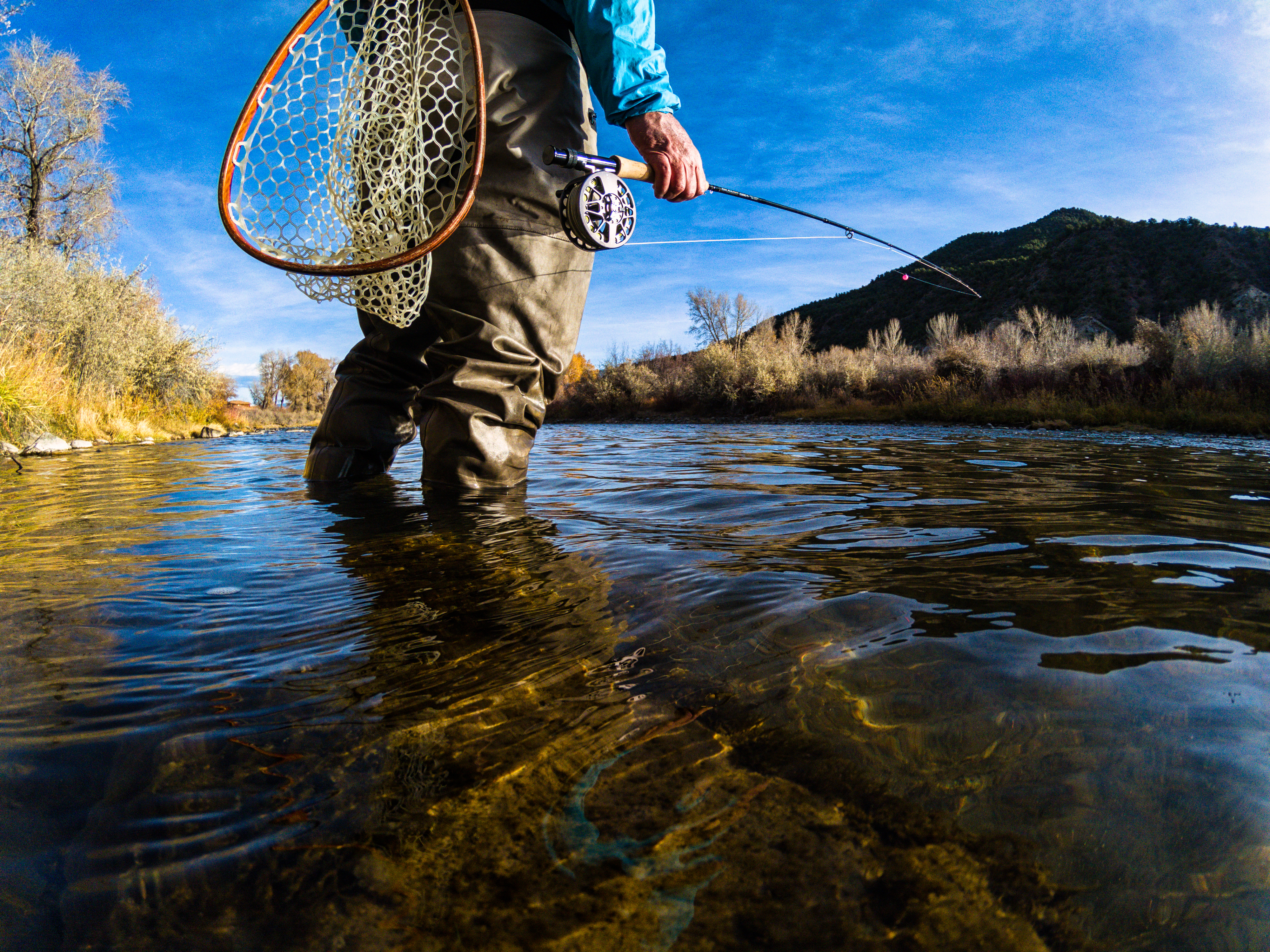 Fly Fishing on Scenic River - Environmental portrait of Fly Fisherman on sunny fall autumn day catching trout.
