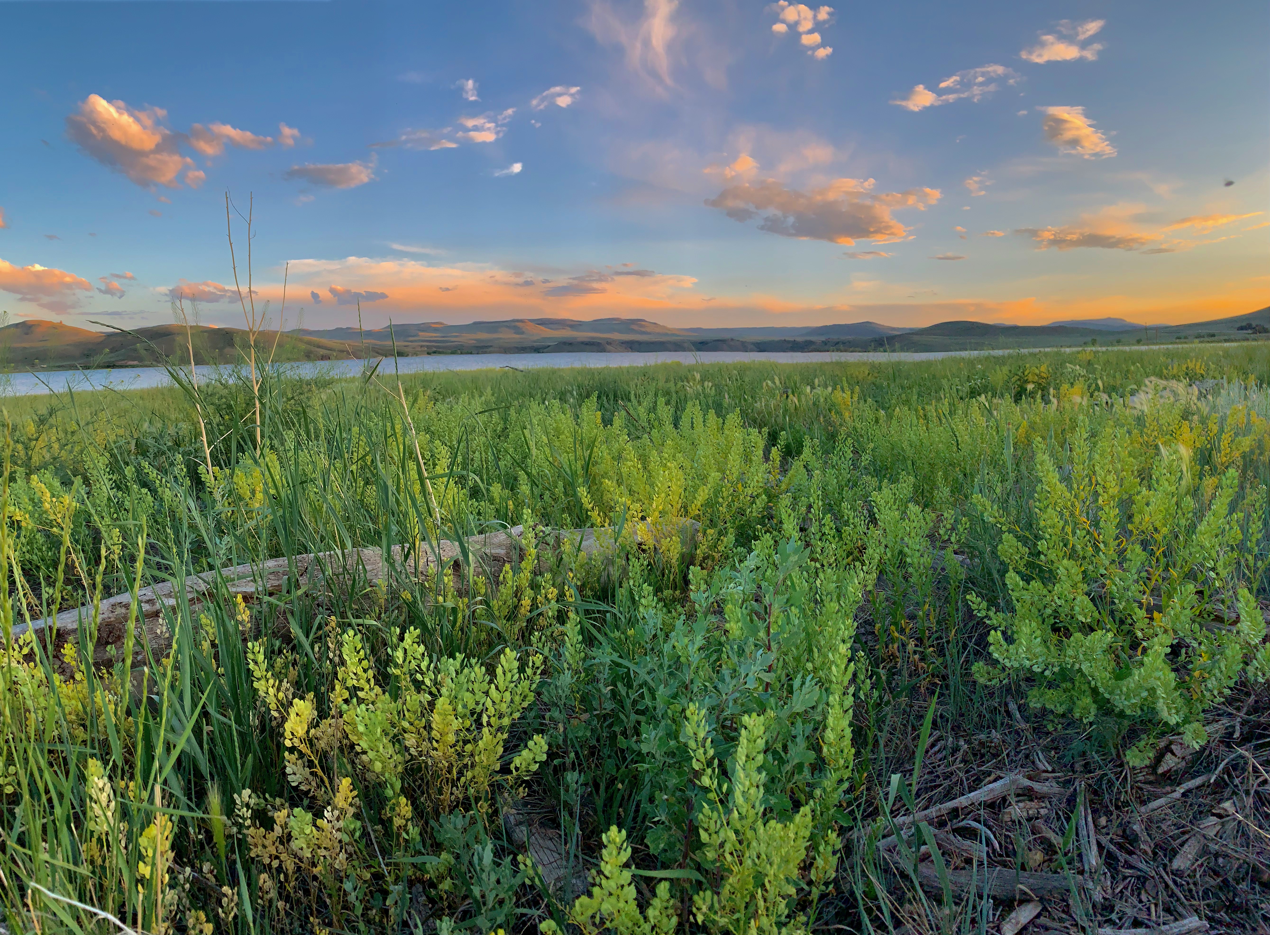 Curecate Recreation Area Best Times to Visit