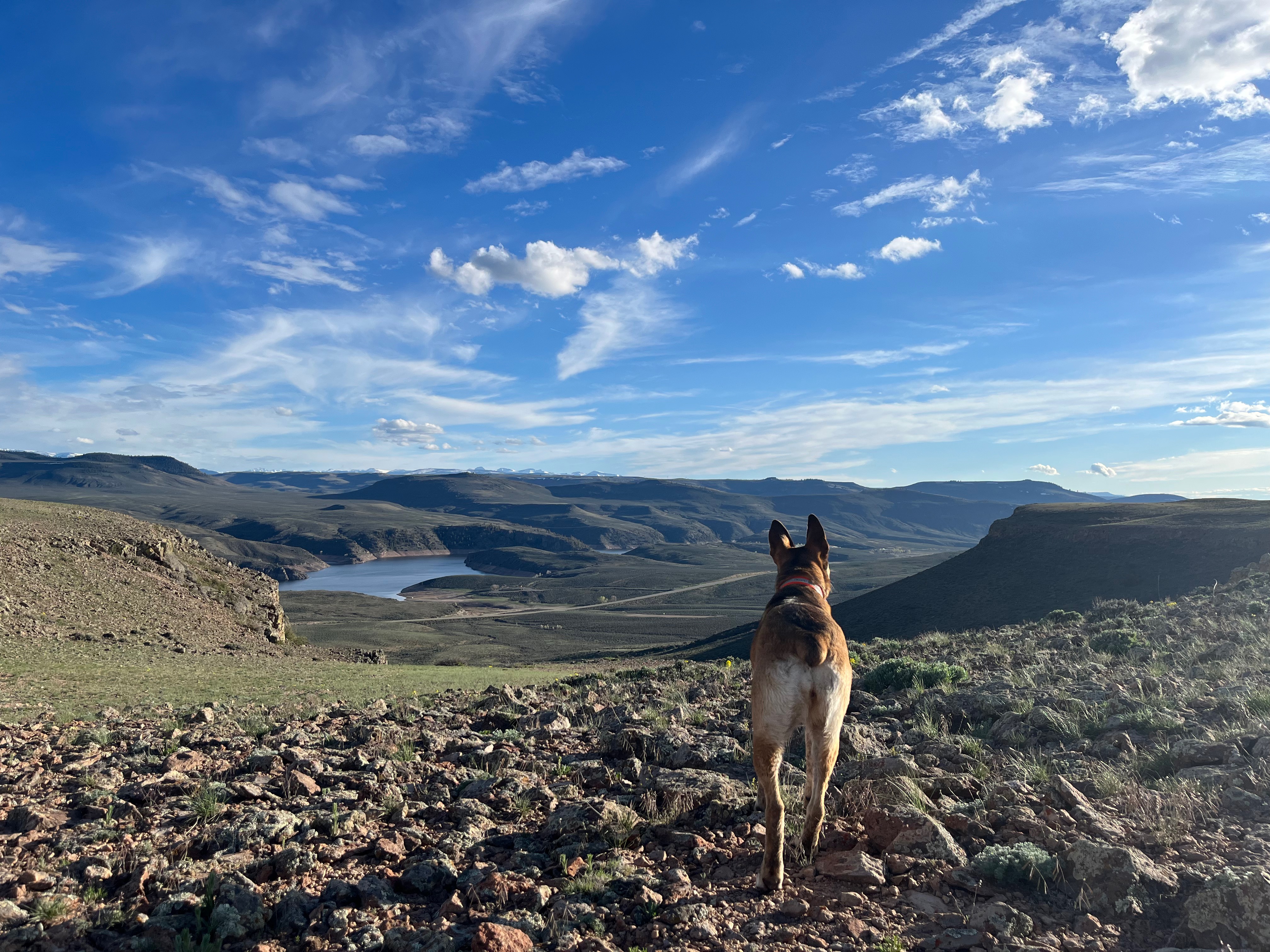 Curecanti National Recreation Area Hiking Trails