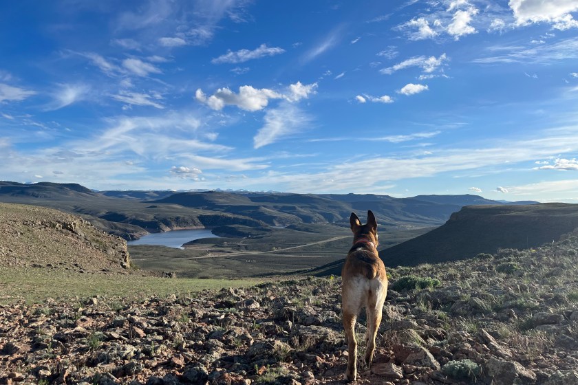 Curecanti National Recreation Area Hiking Trails