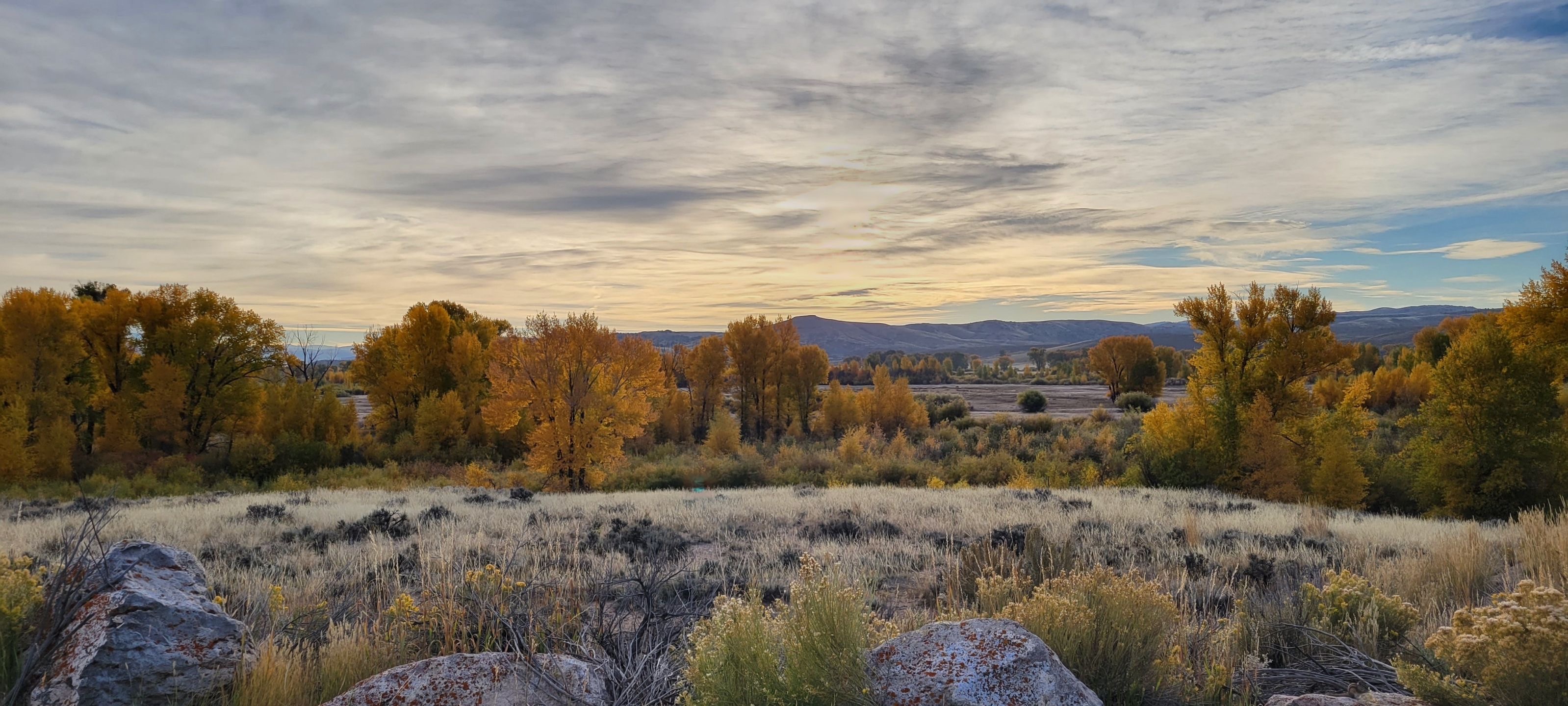 Curecanti Recreation Area