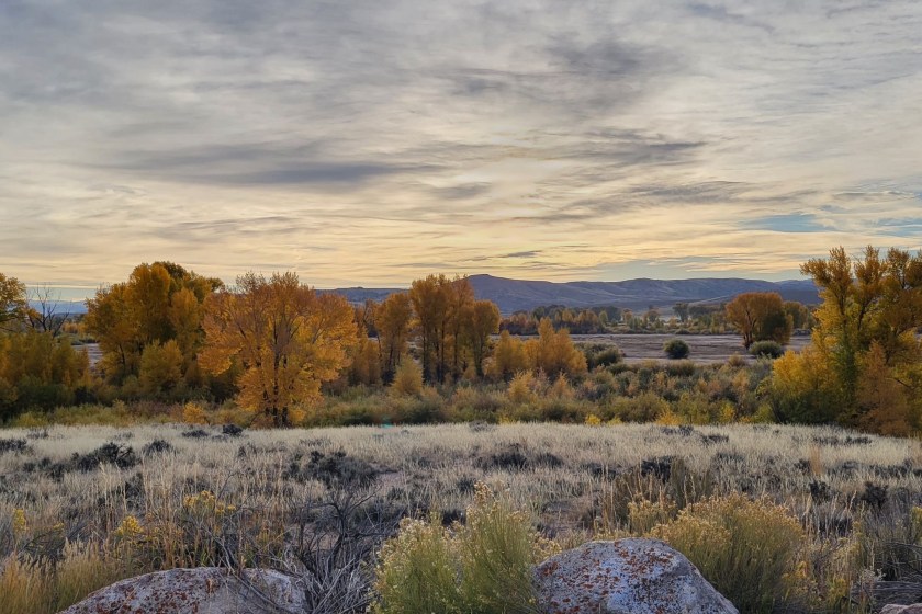 Curecanti Recreation Area