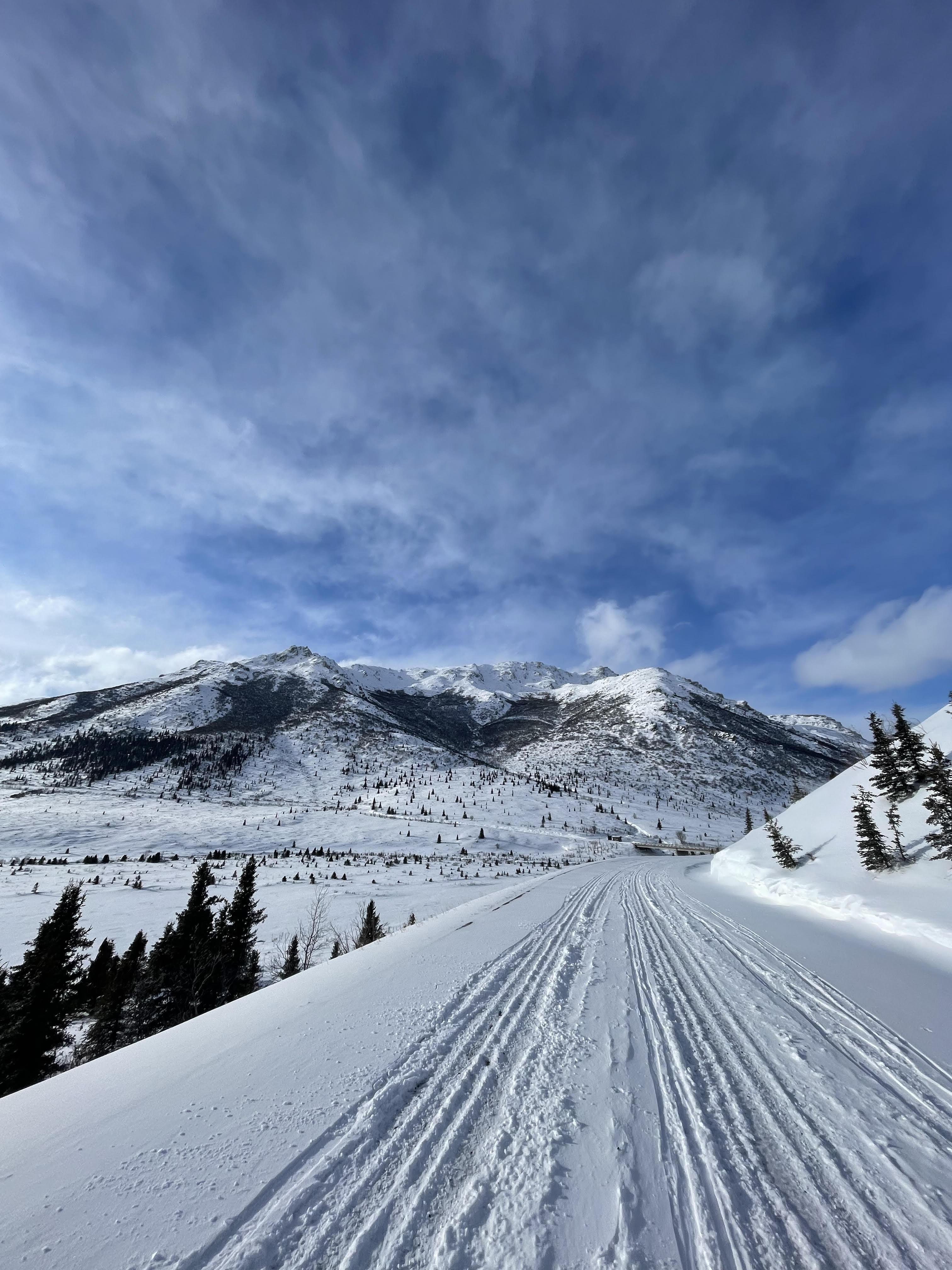 denali park road in early winter