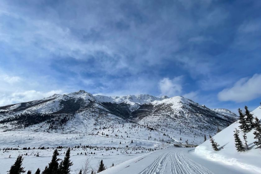 denali park road in early winter