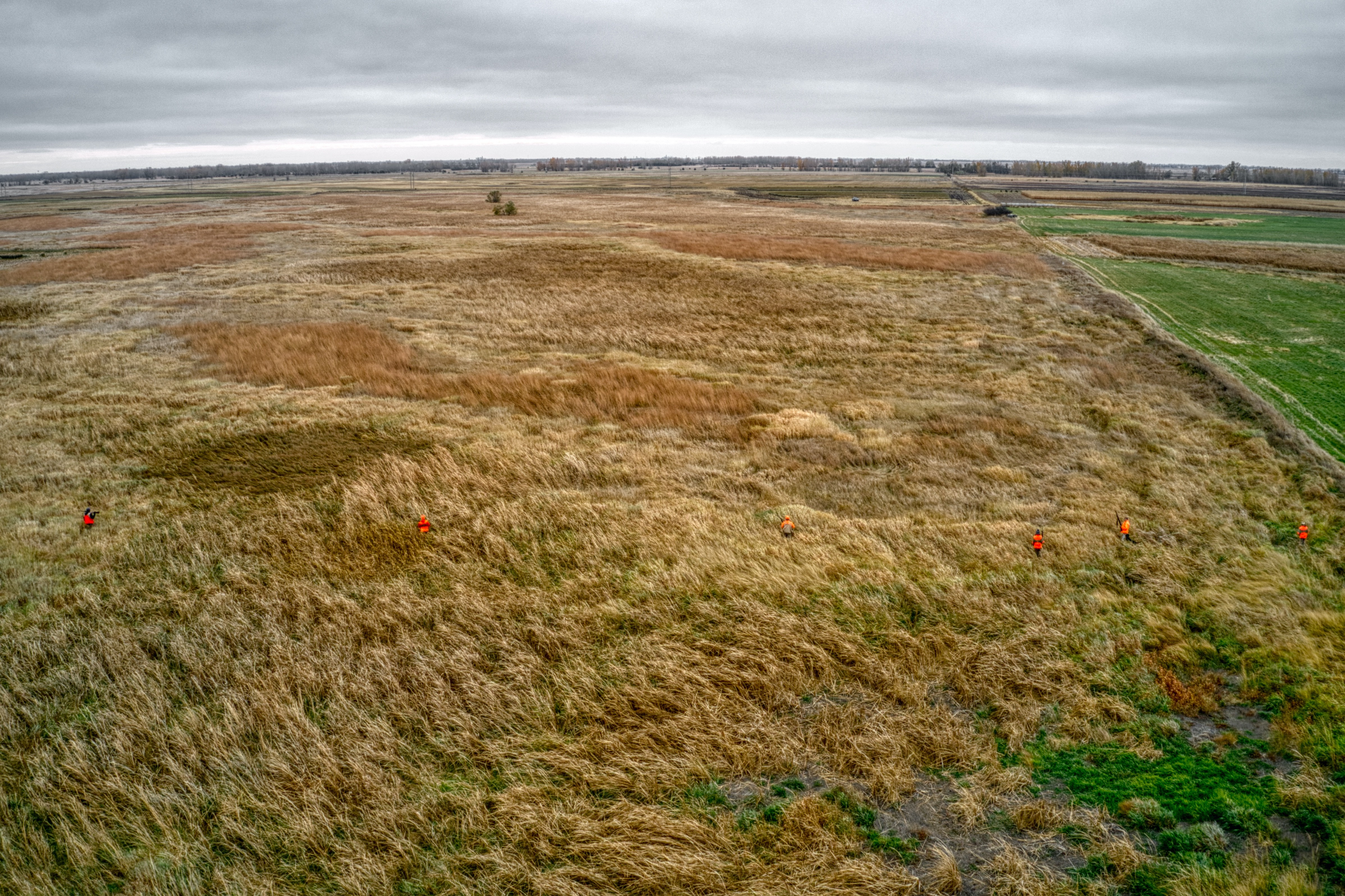 Going further afield can improve your upland hunting odds.