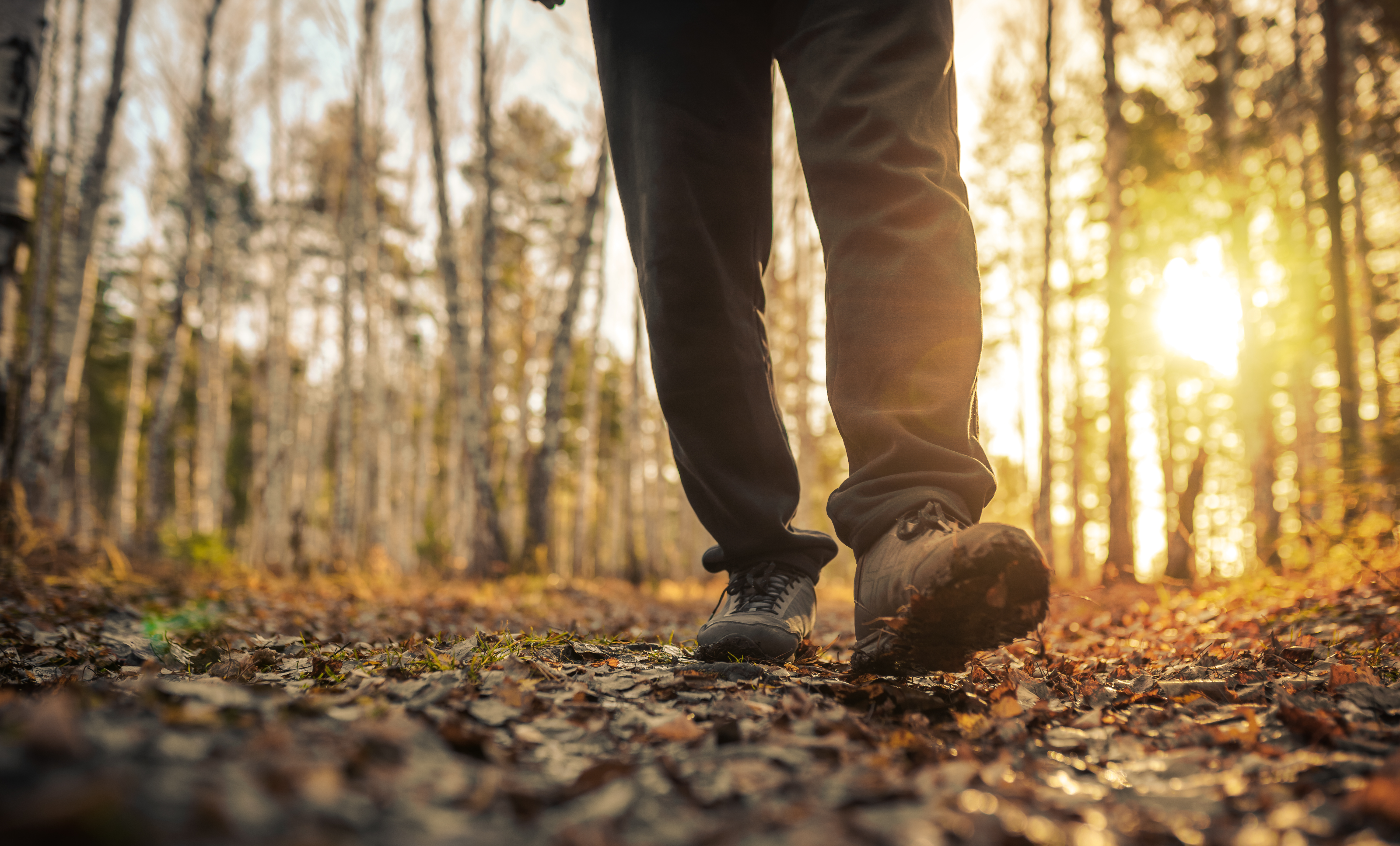 Walking quietly while still-hunting.
