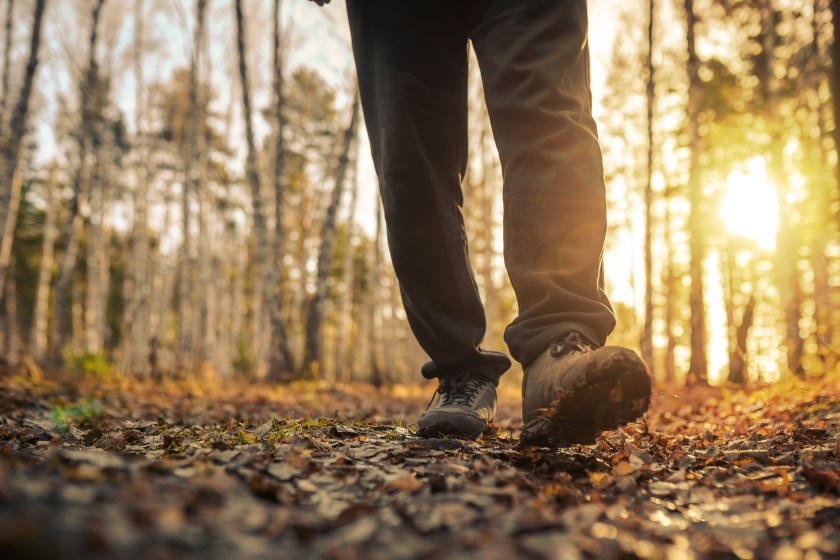 Walking quietly while still-hunting.