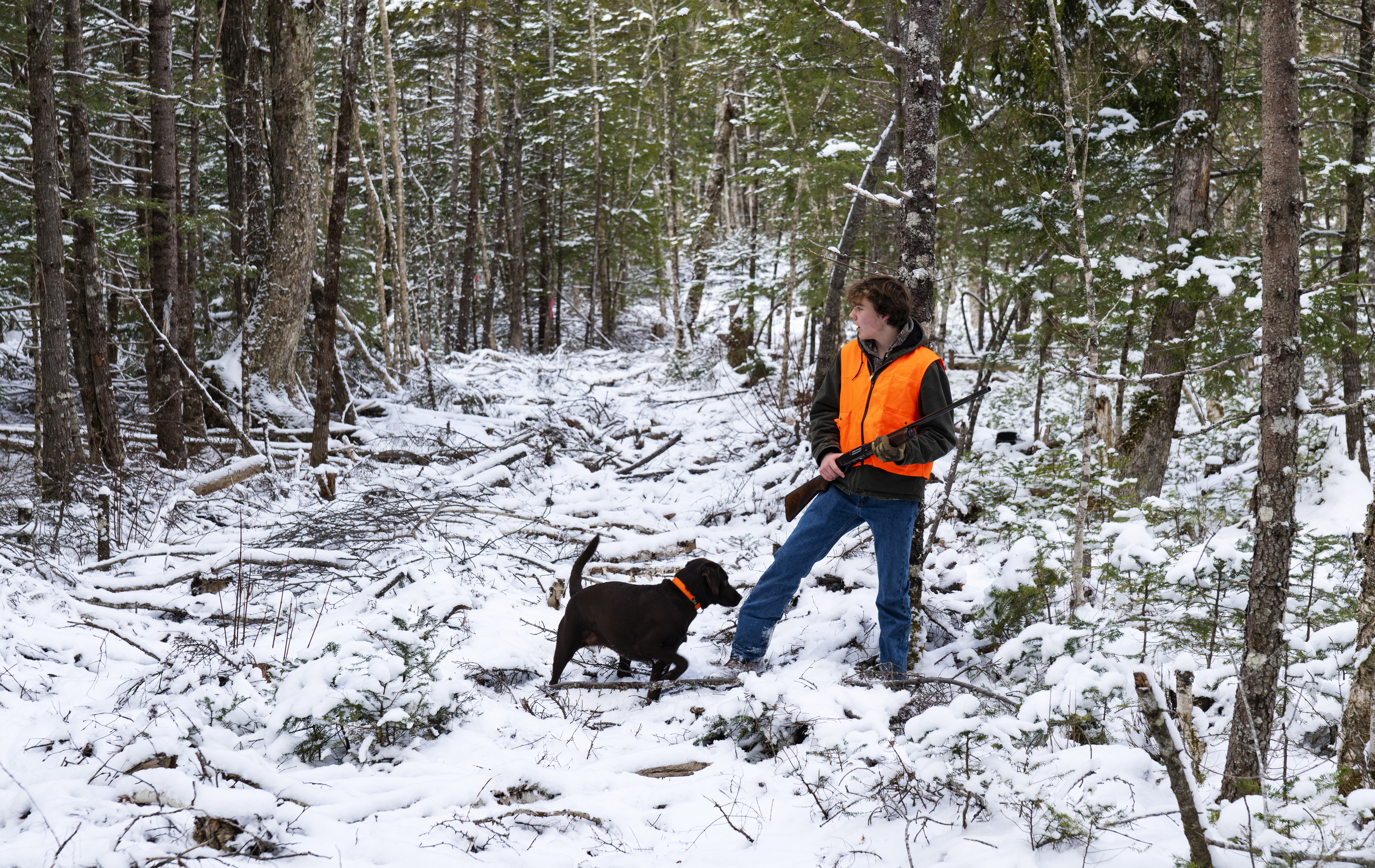 Working the weather for grouse and other upland birds can make you a better hunter.