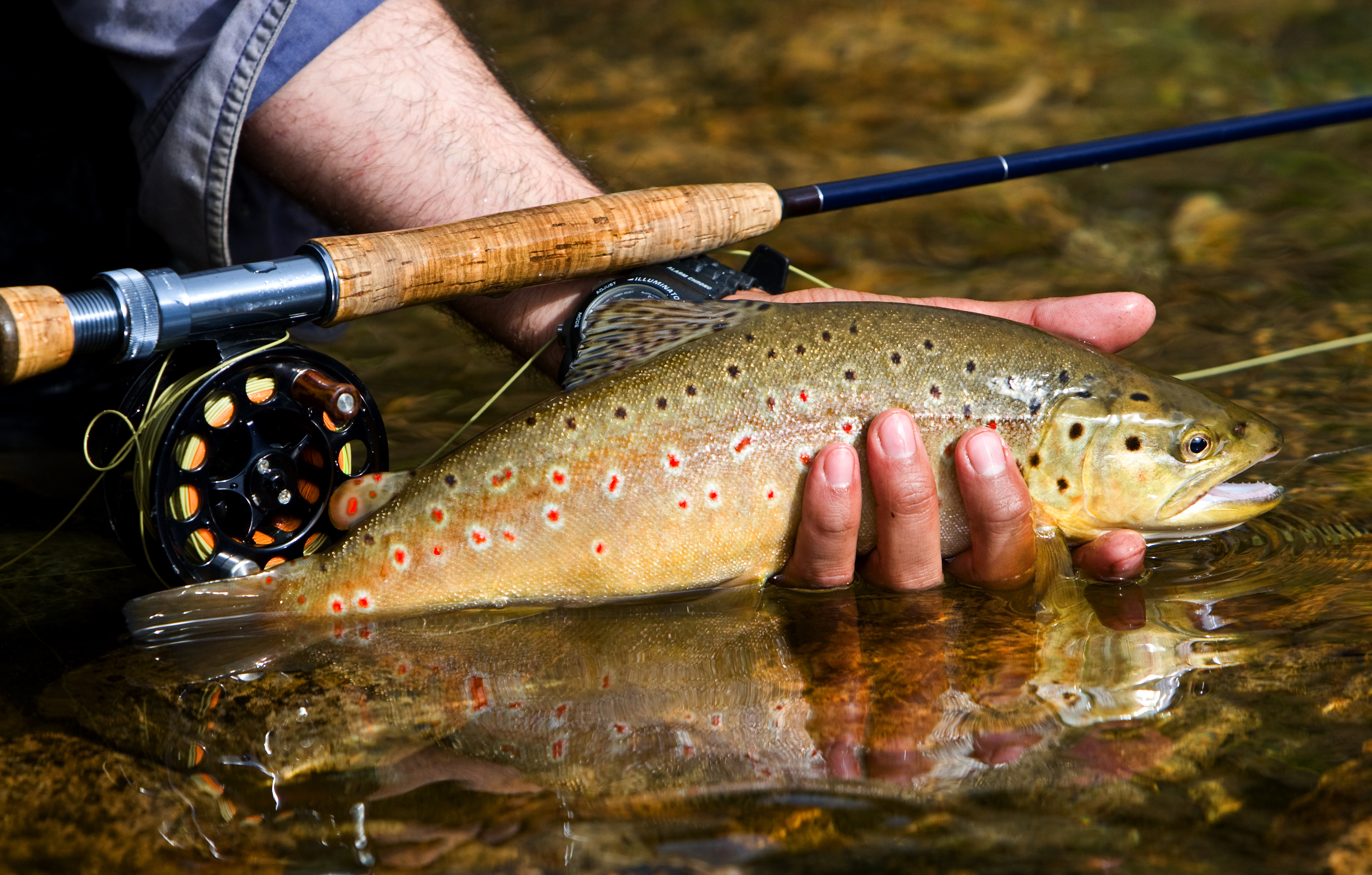 fly gear maintenance is important if you want to fish well next year and the year after that.