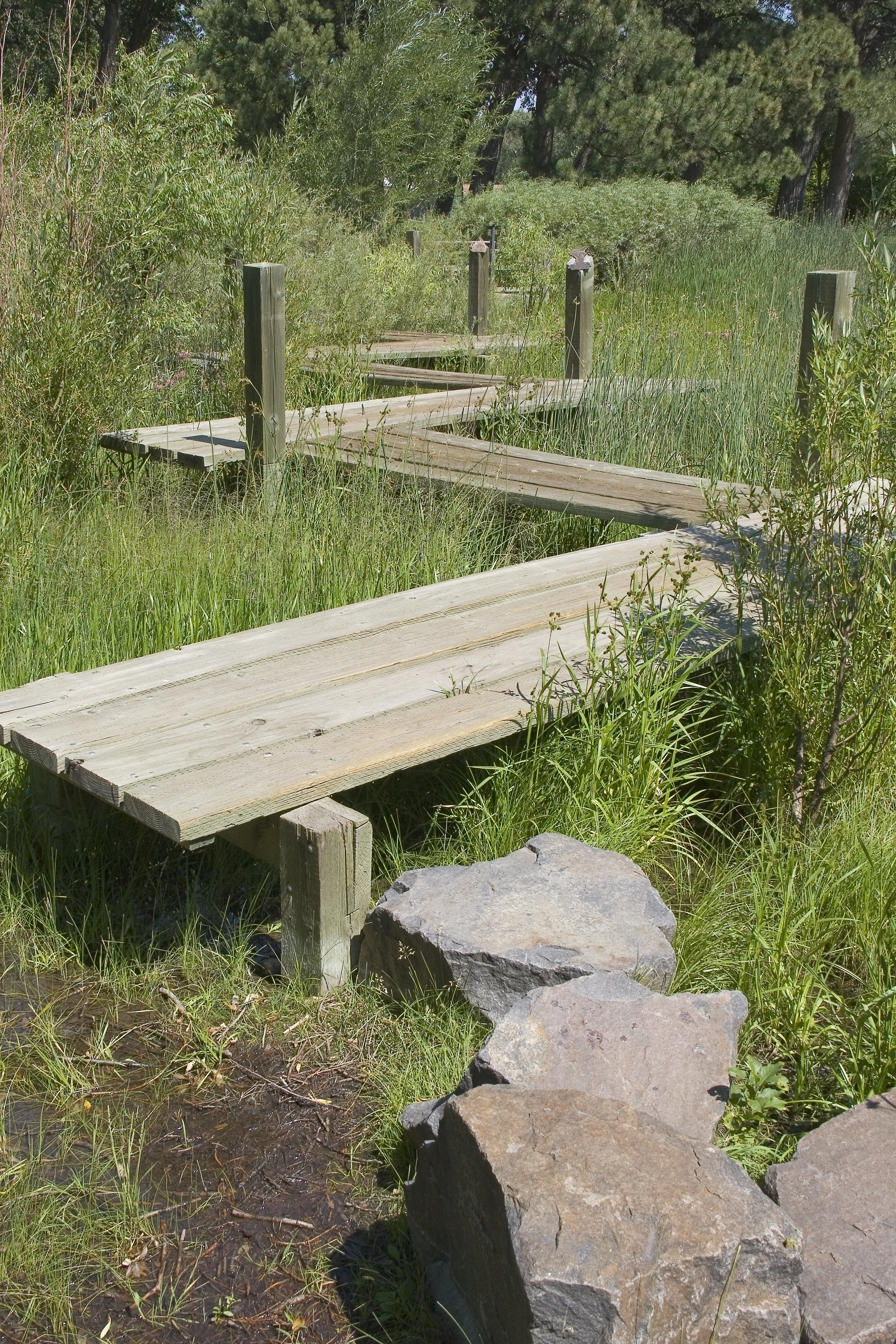 Observation deck in marshy area of botanical gardens in Cheyenne, Wyoming.