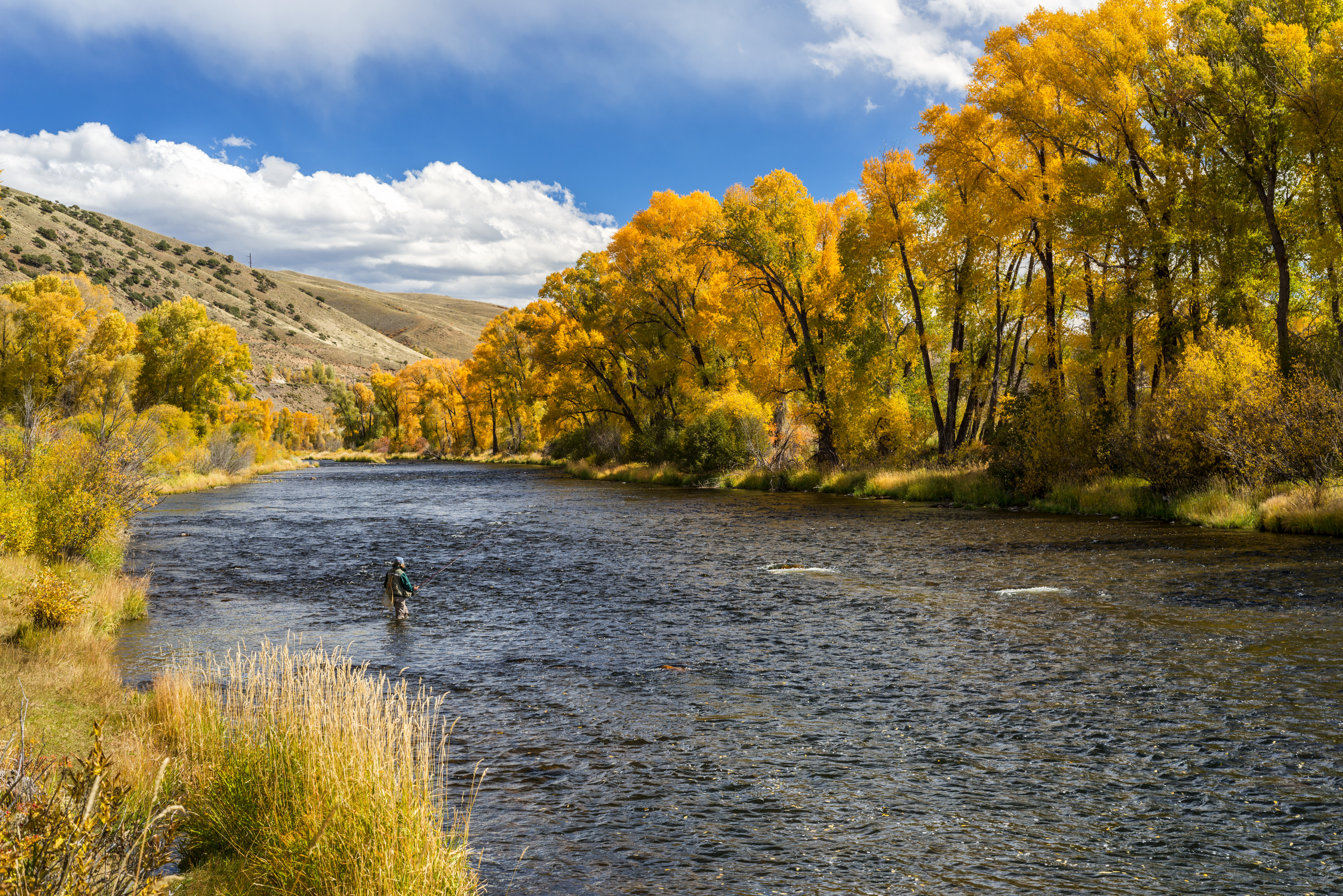 Good wet fly swinging water for trout.