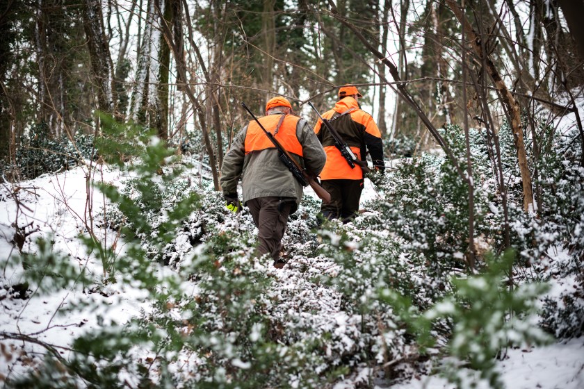 Still hunting through cover.