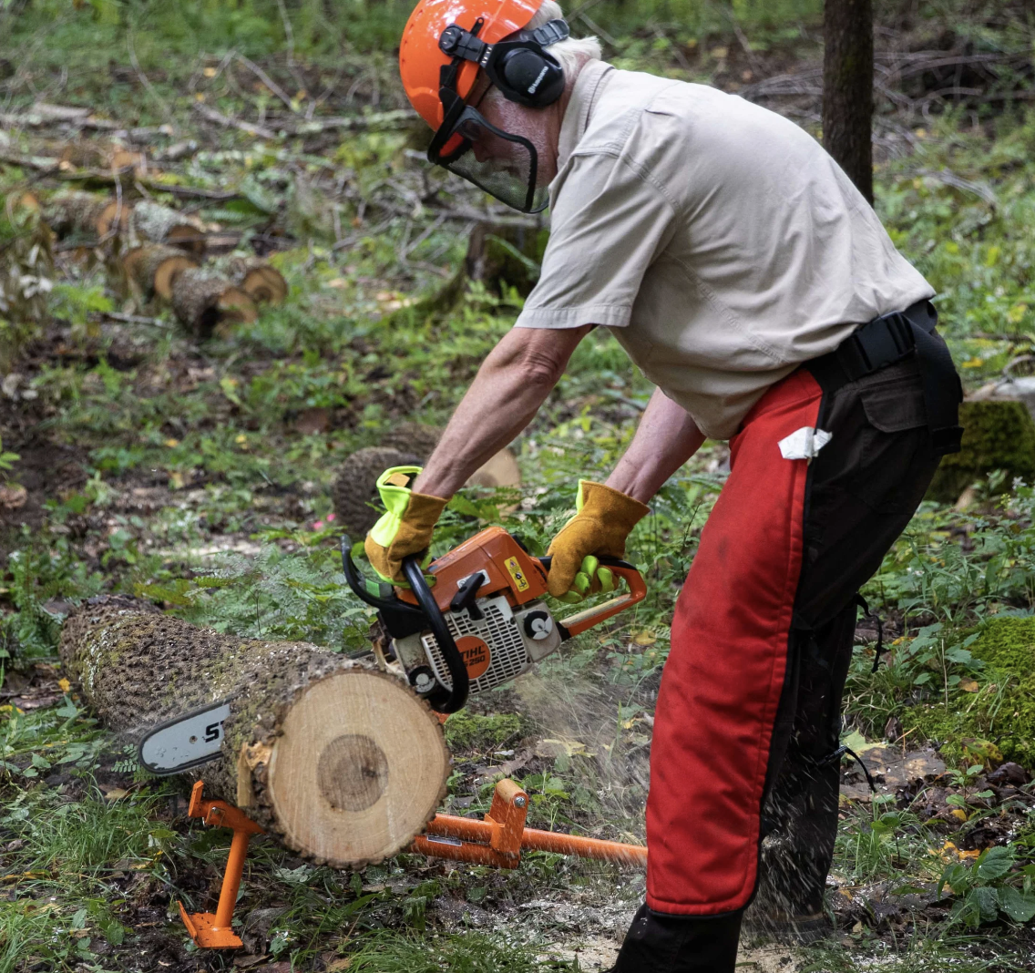 Person standing outdoors, cutting a log