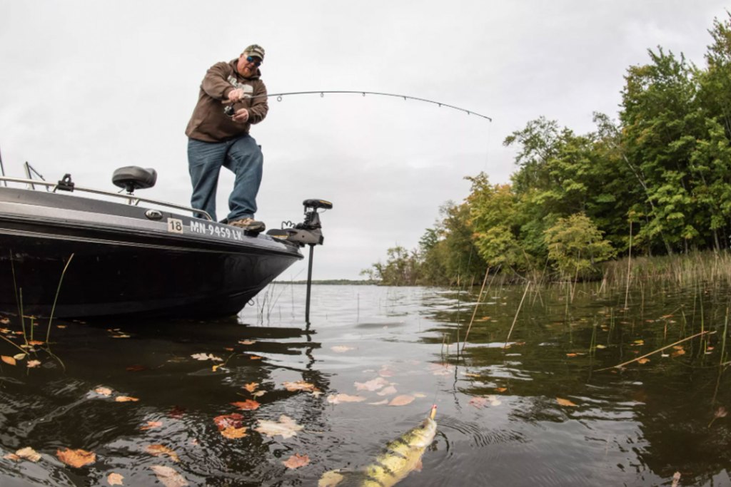 St. Croix Panfish Series Spinning Rod