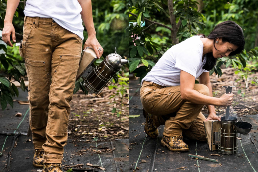 dovetail maven pant