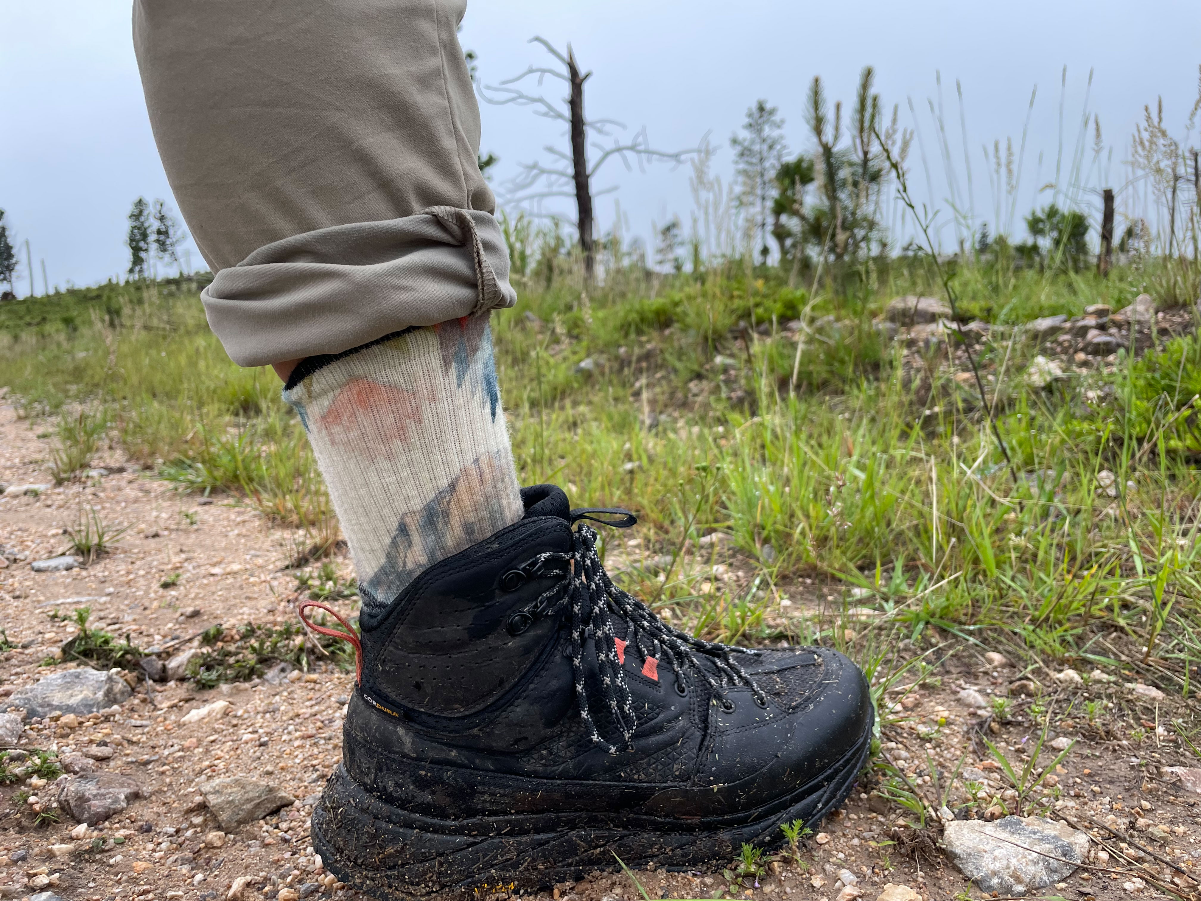 Smartwool hiking socks