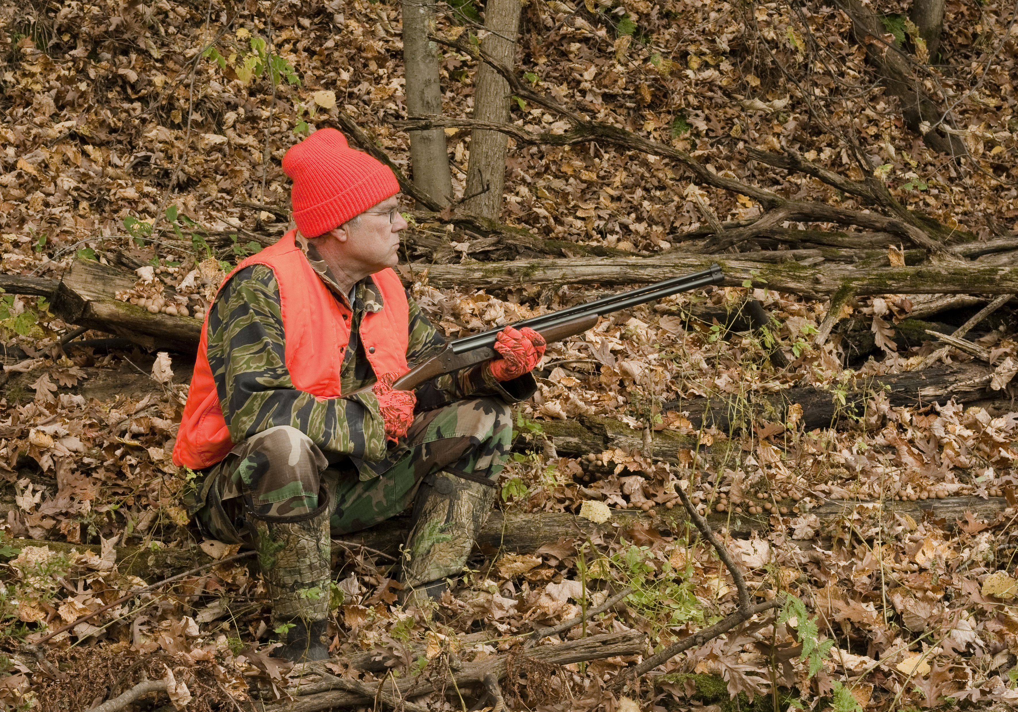 Don't use a treestand on public lands.