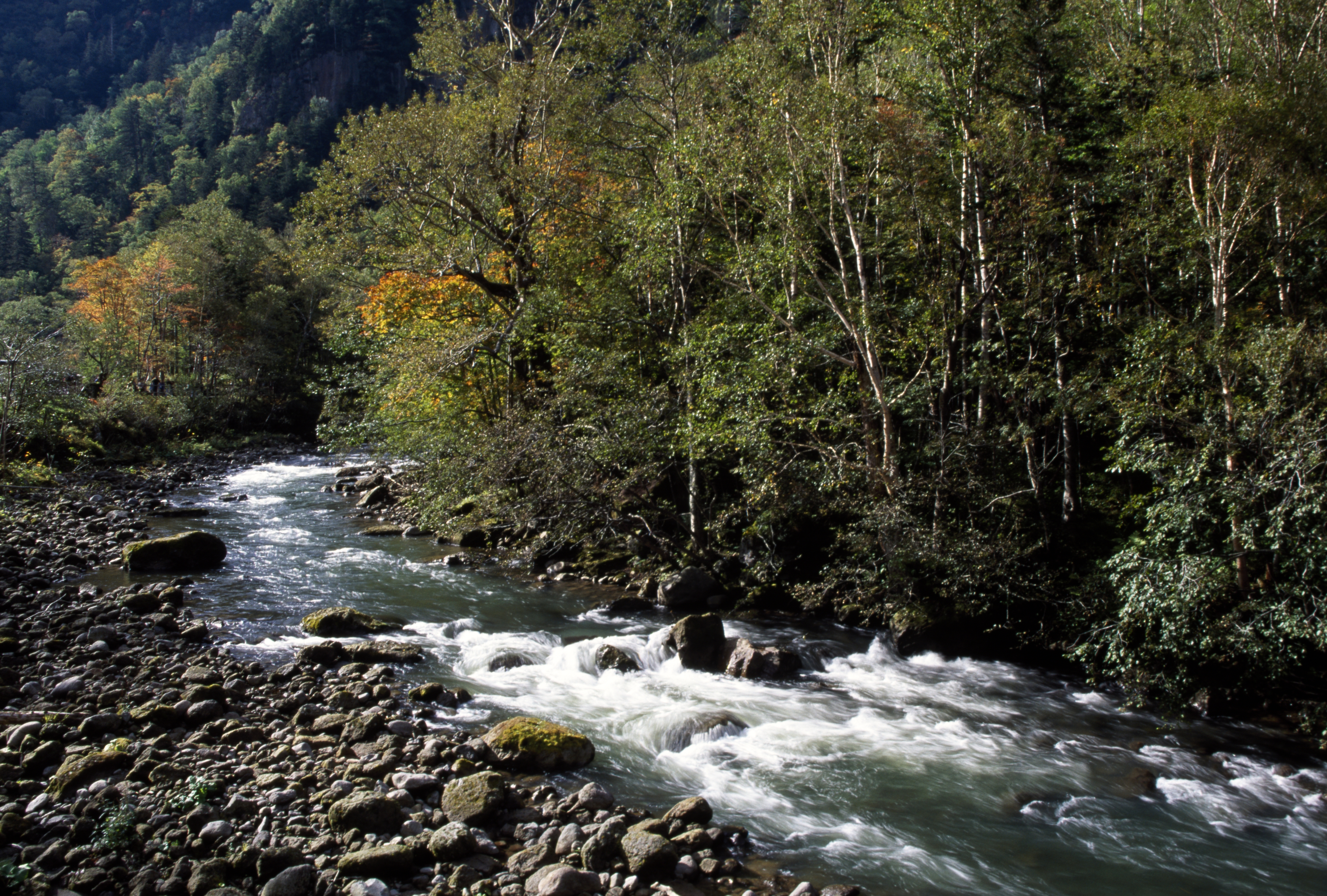 Fly fishing in Hokkaido, Japan