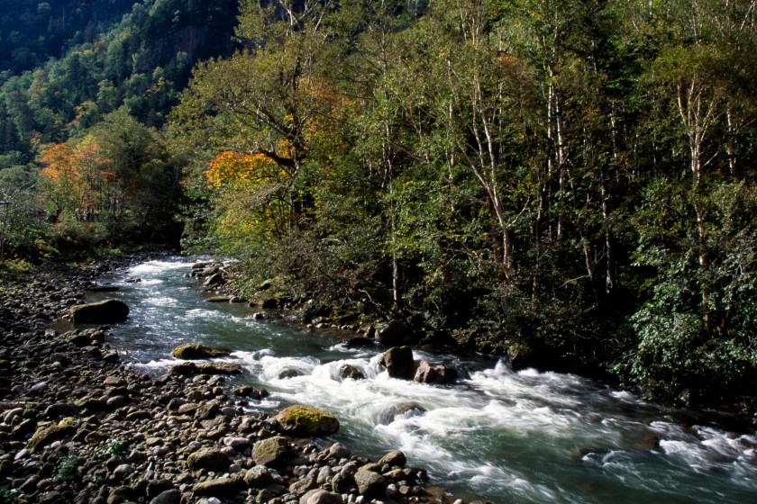 Fly fishing in Hokkaido, Japan