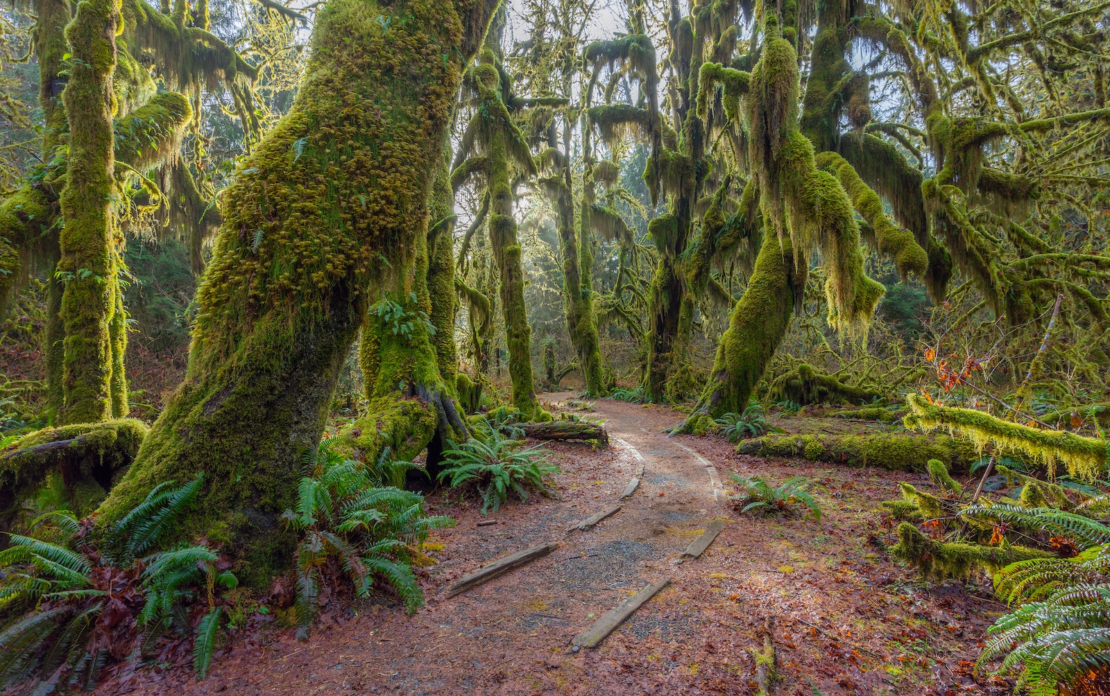 National Parks Project gives back.