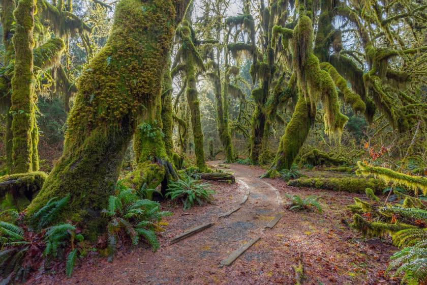 National Parks Project gives back.