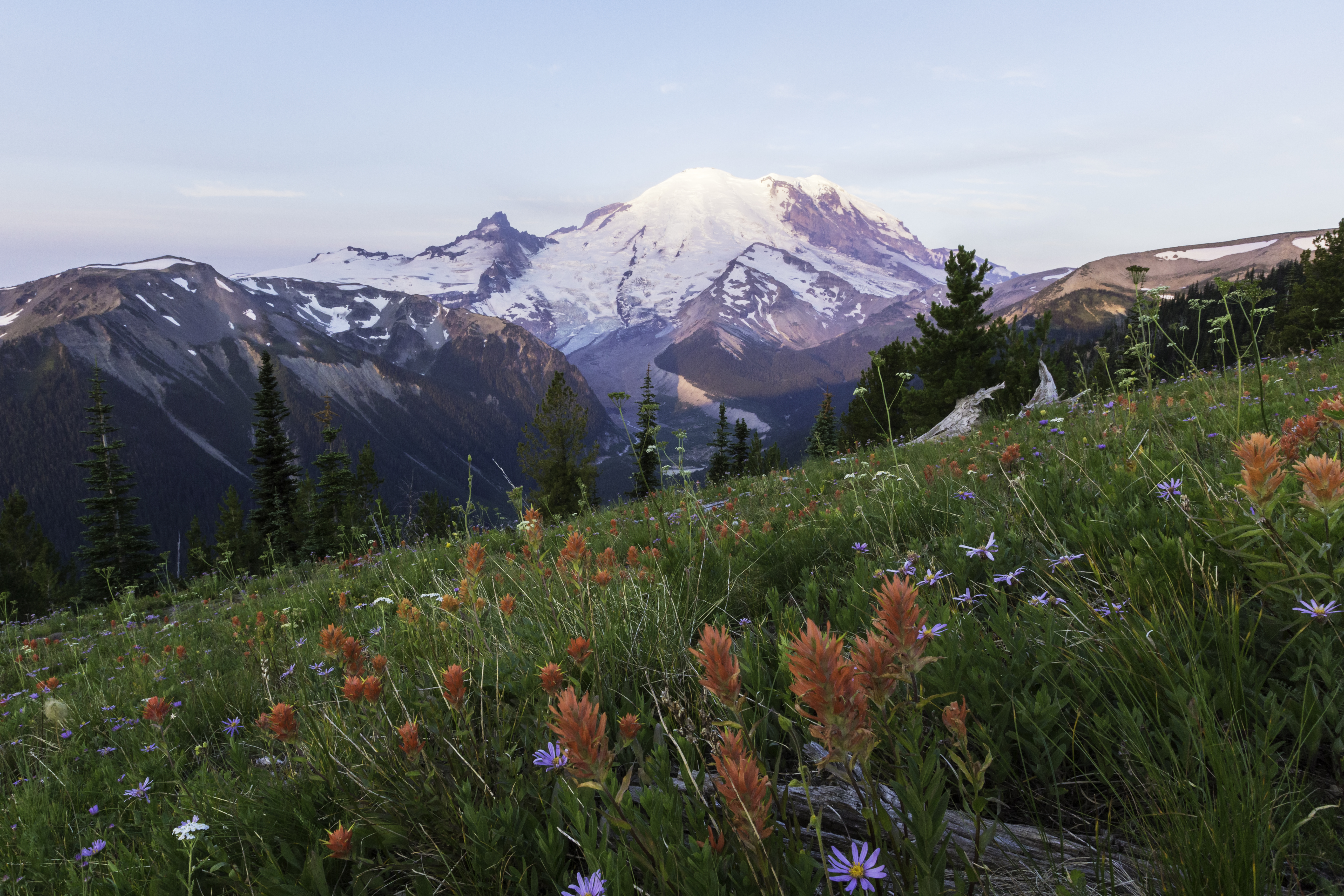 Mount Rainier National Park deadliest parks