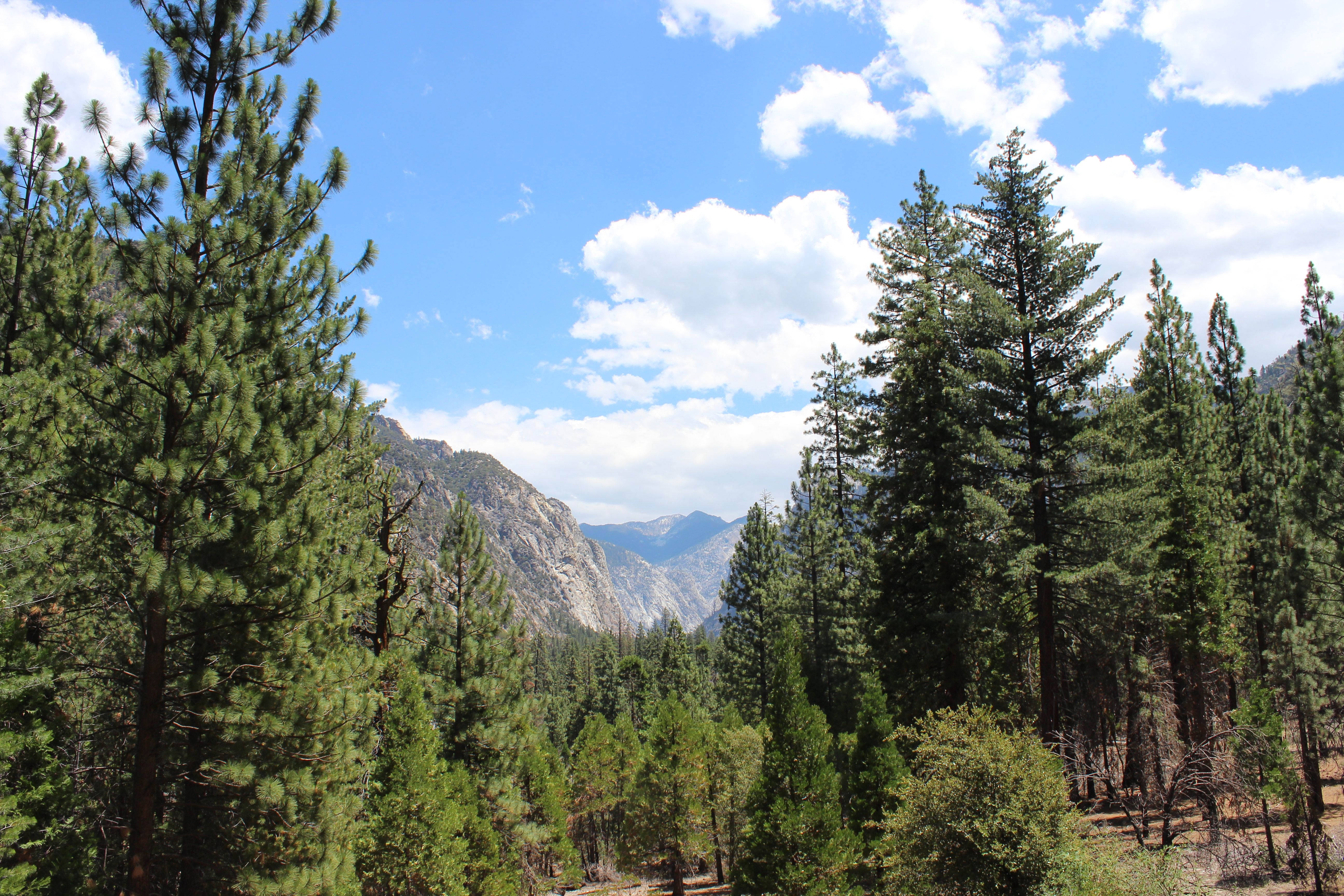 kings canyon national park deadliest national parks