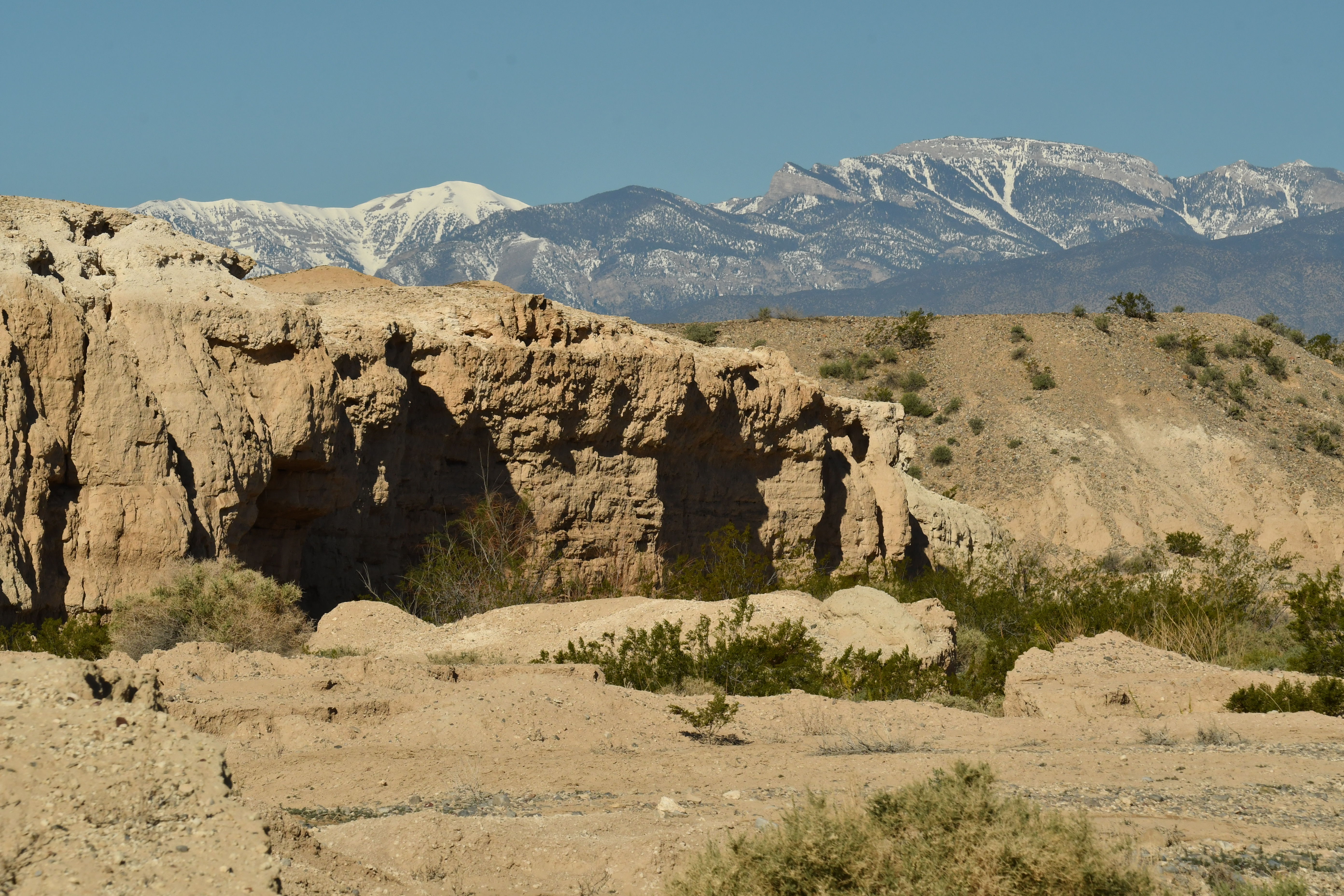 Ice Age Fossils State Park