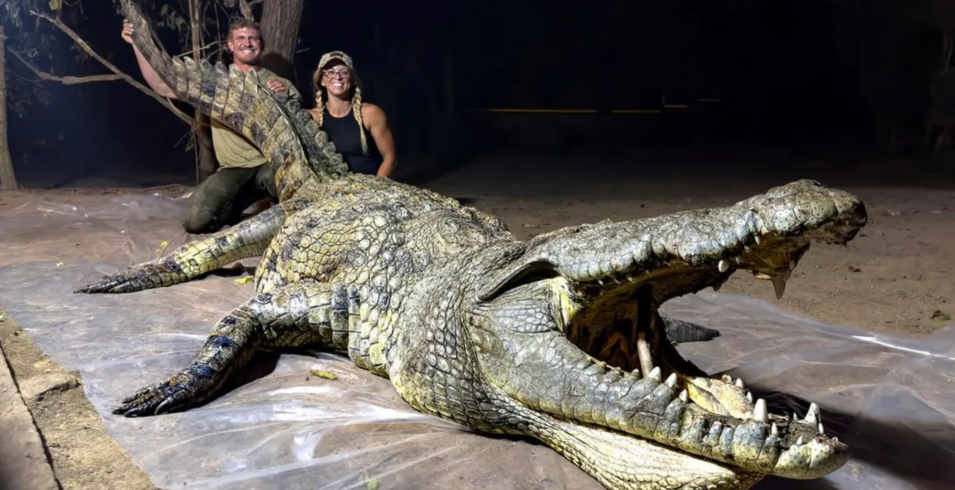 josh bowmar crocodile