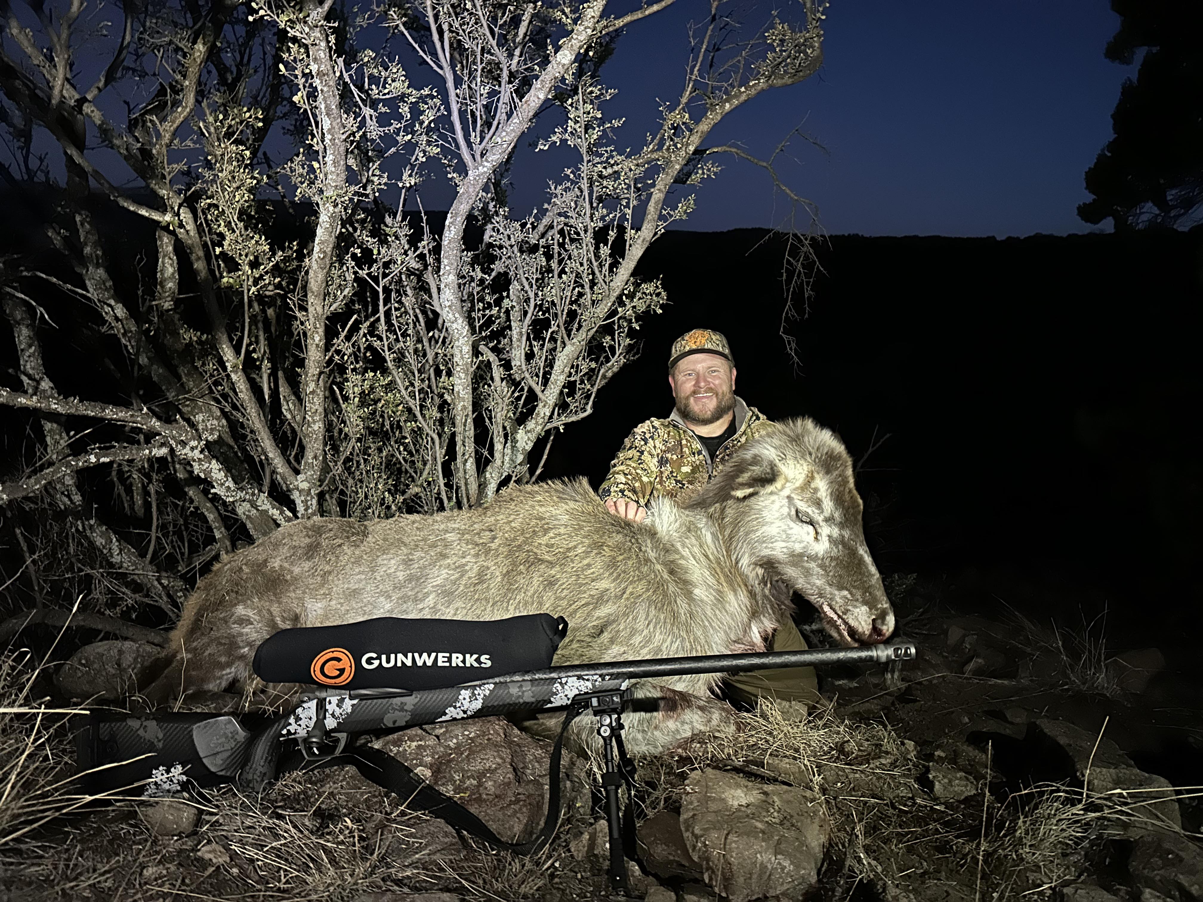 piebald elk shot by new mexico hunter