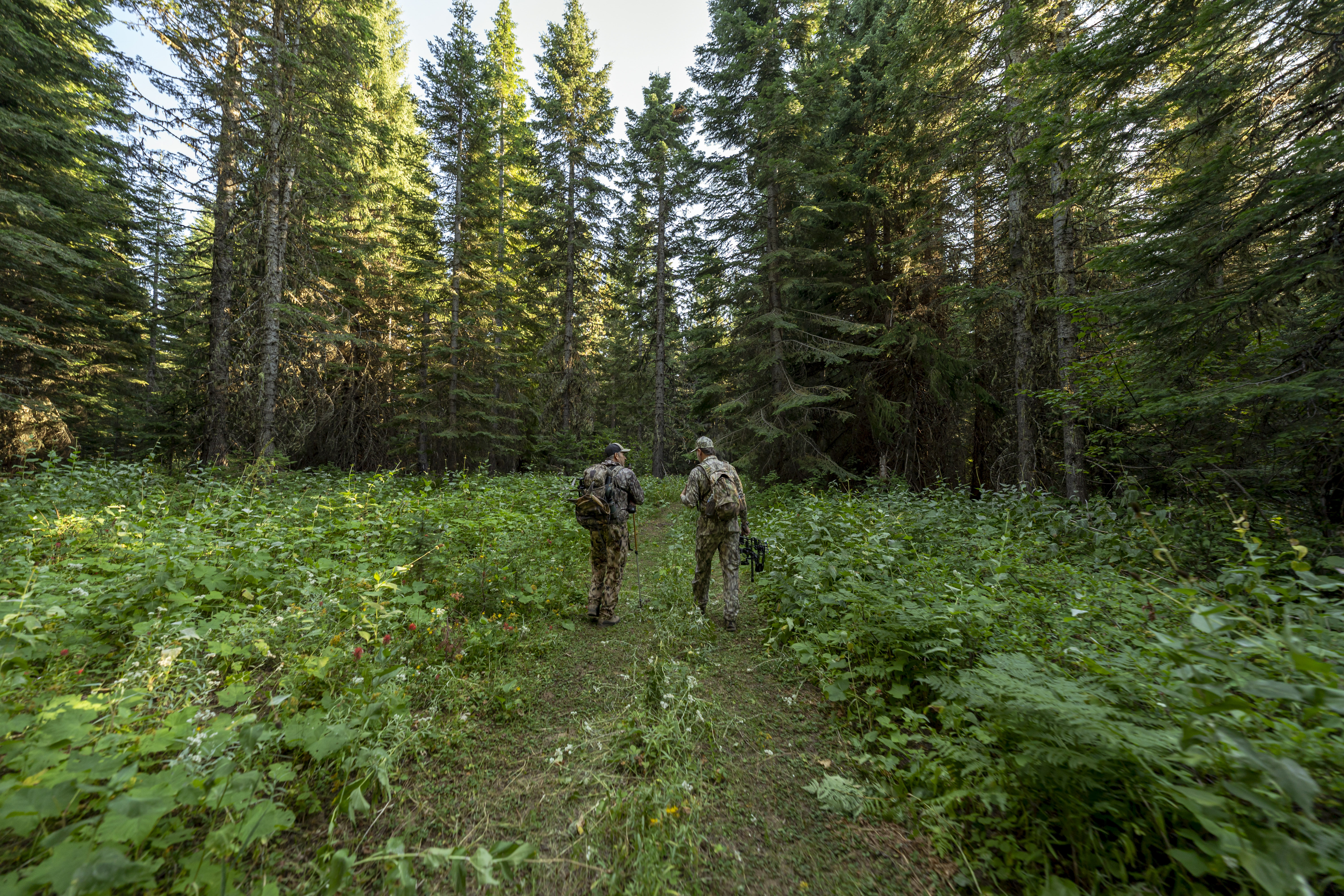 hunting and technology